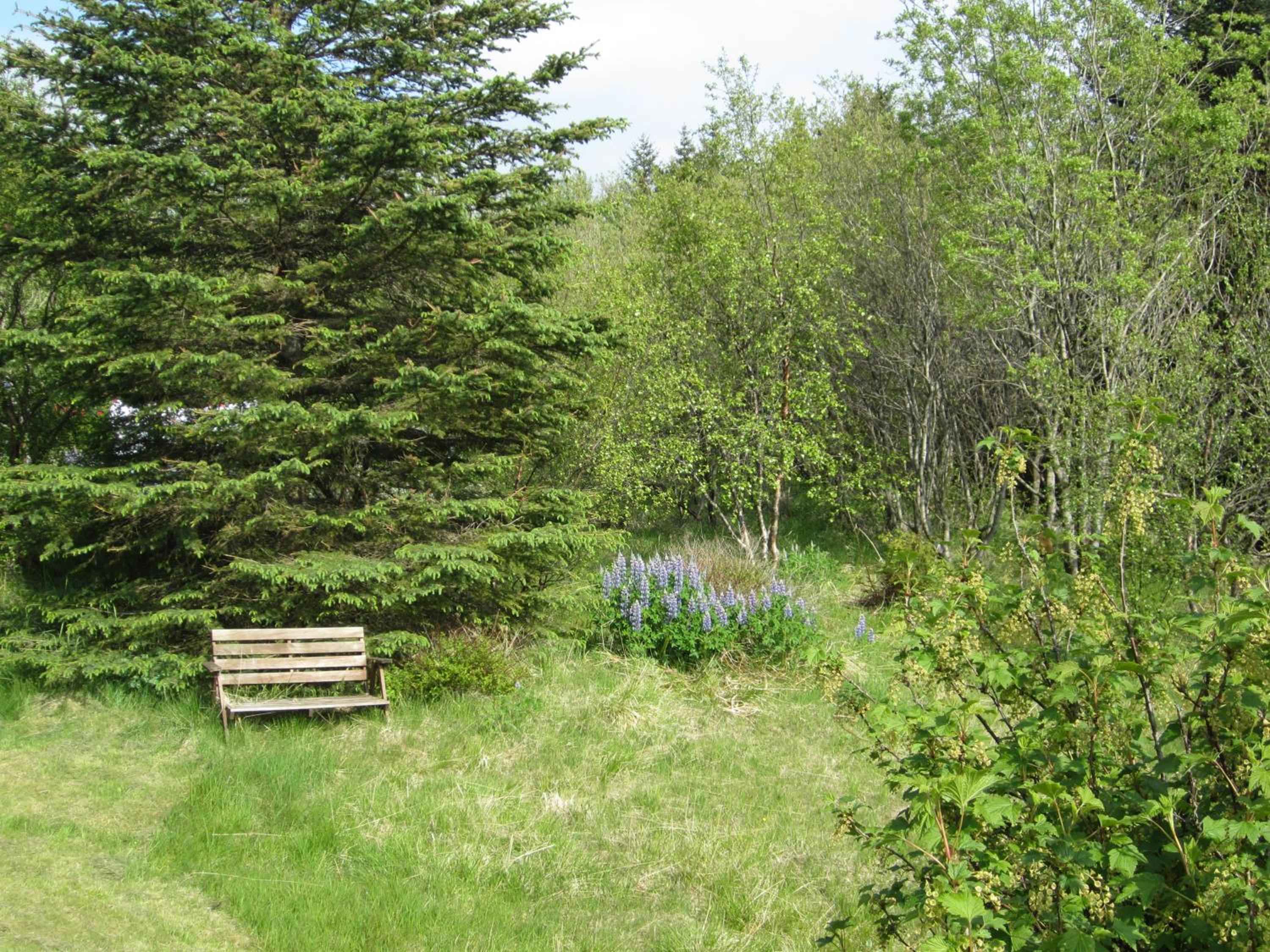 Úlfarsfellsvegur 20, 113 Rvk Birkihlid view 2