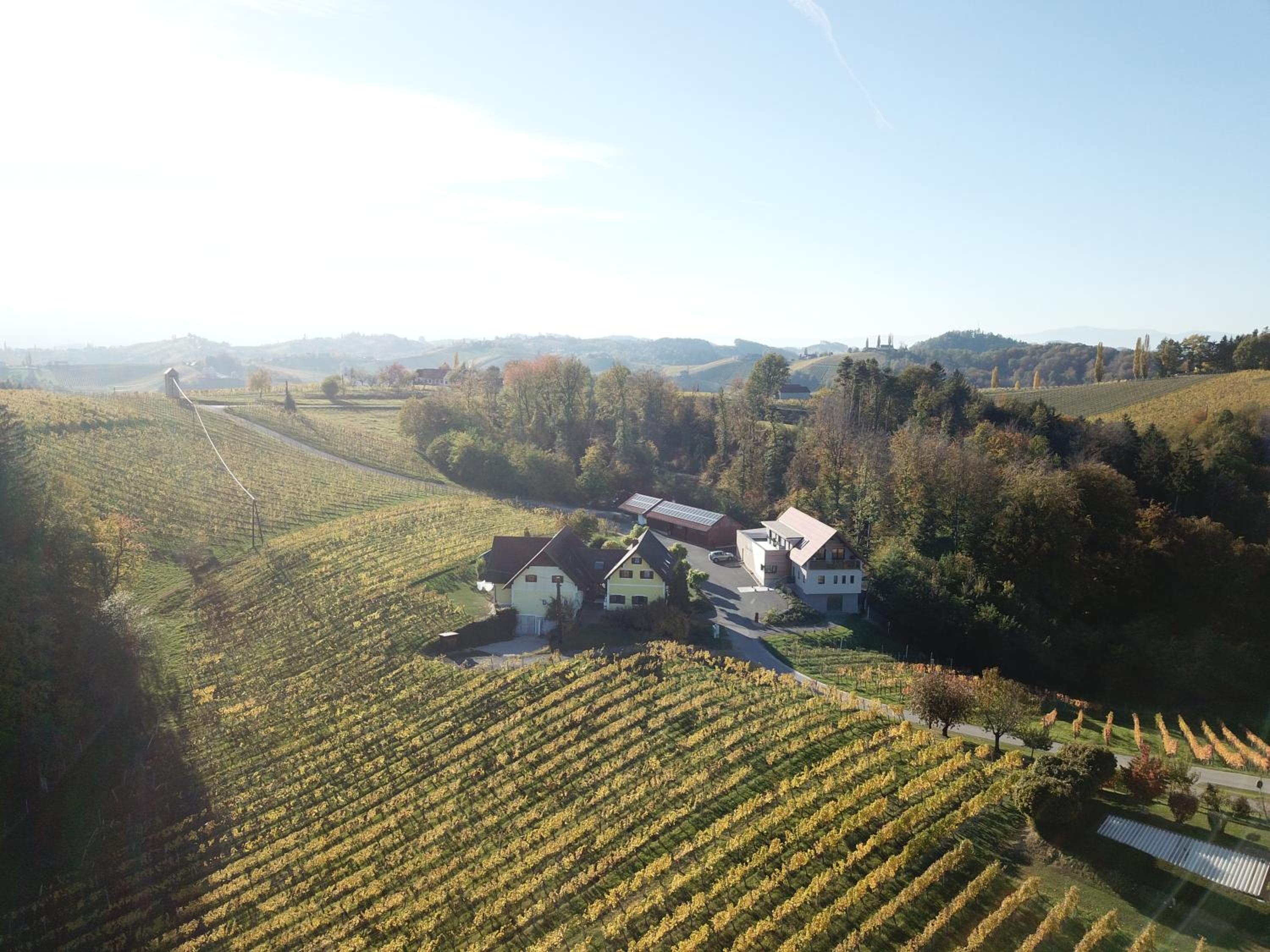 Weingut Schwarzl