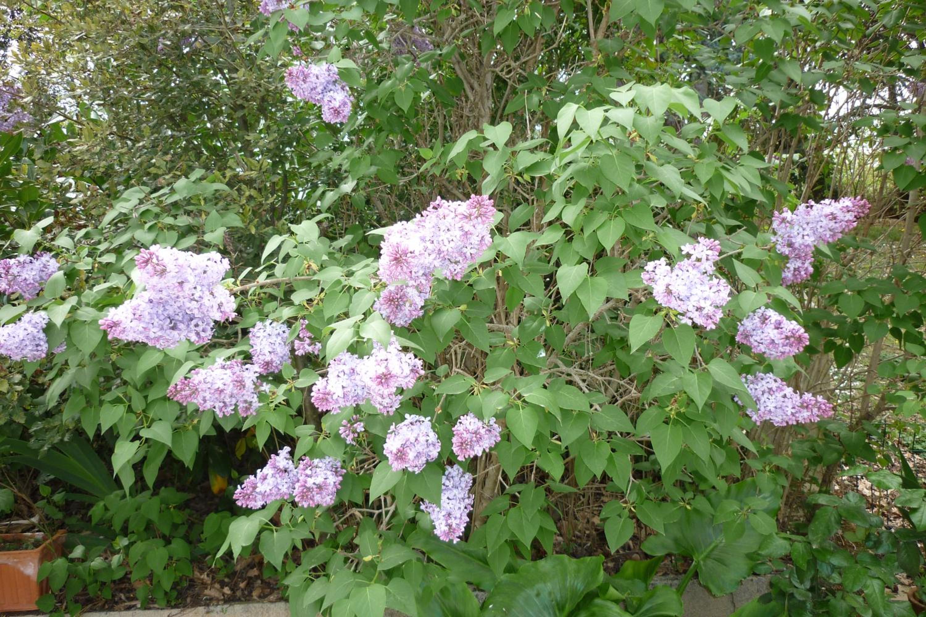 Photo 67