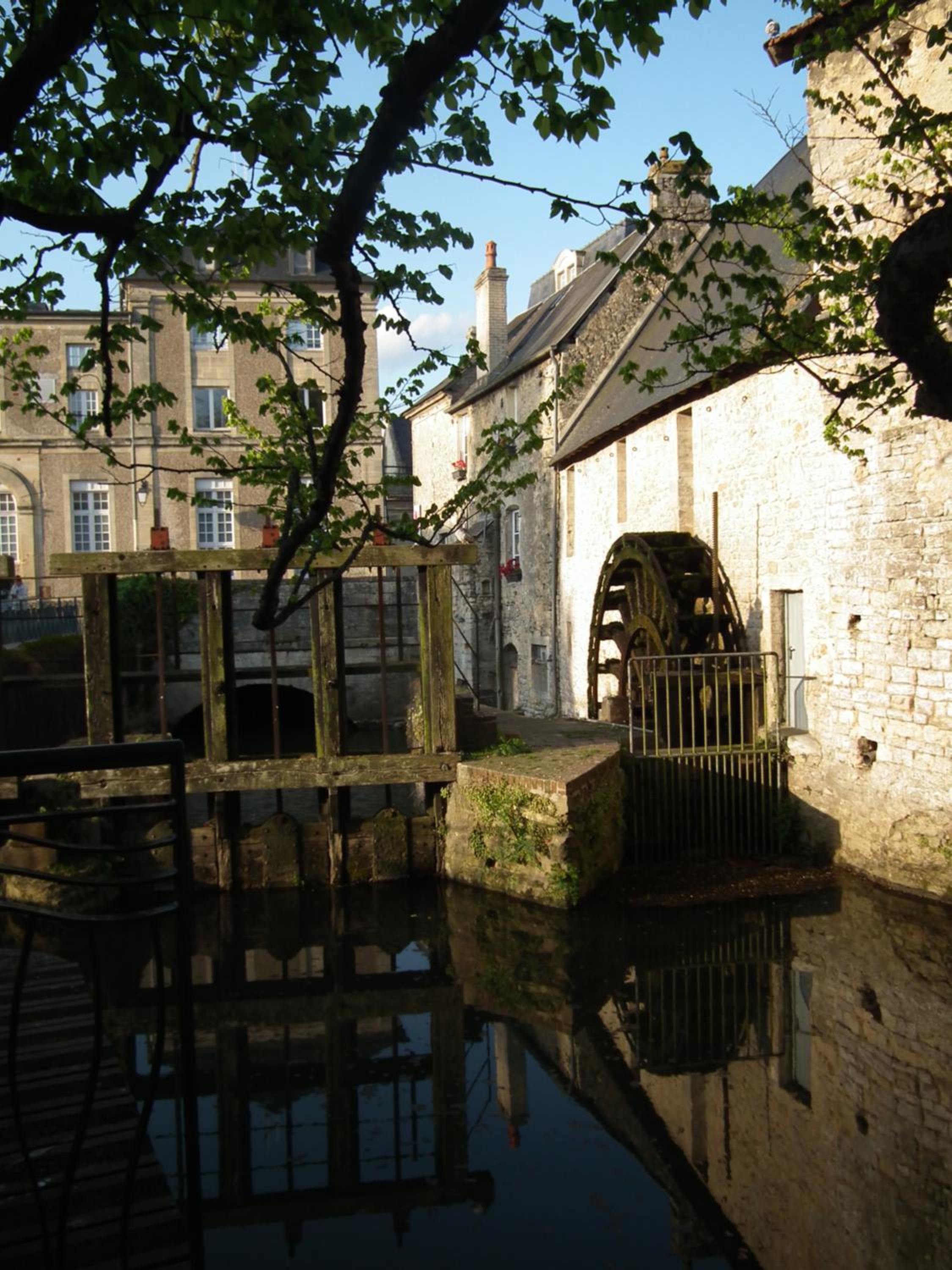 Photo 12