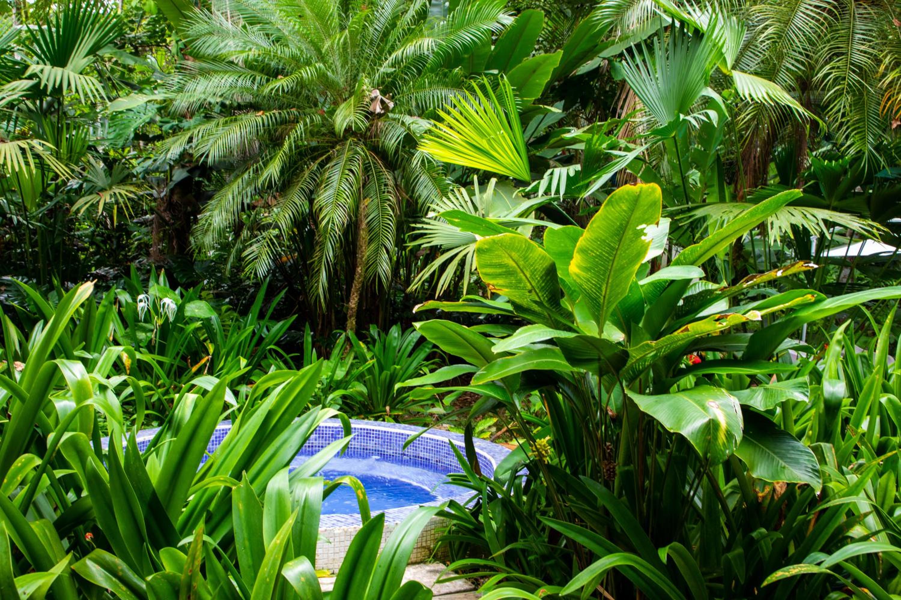 Casa Cerise Beachfront