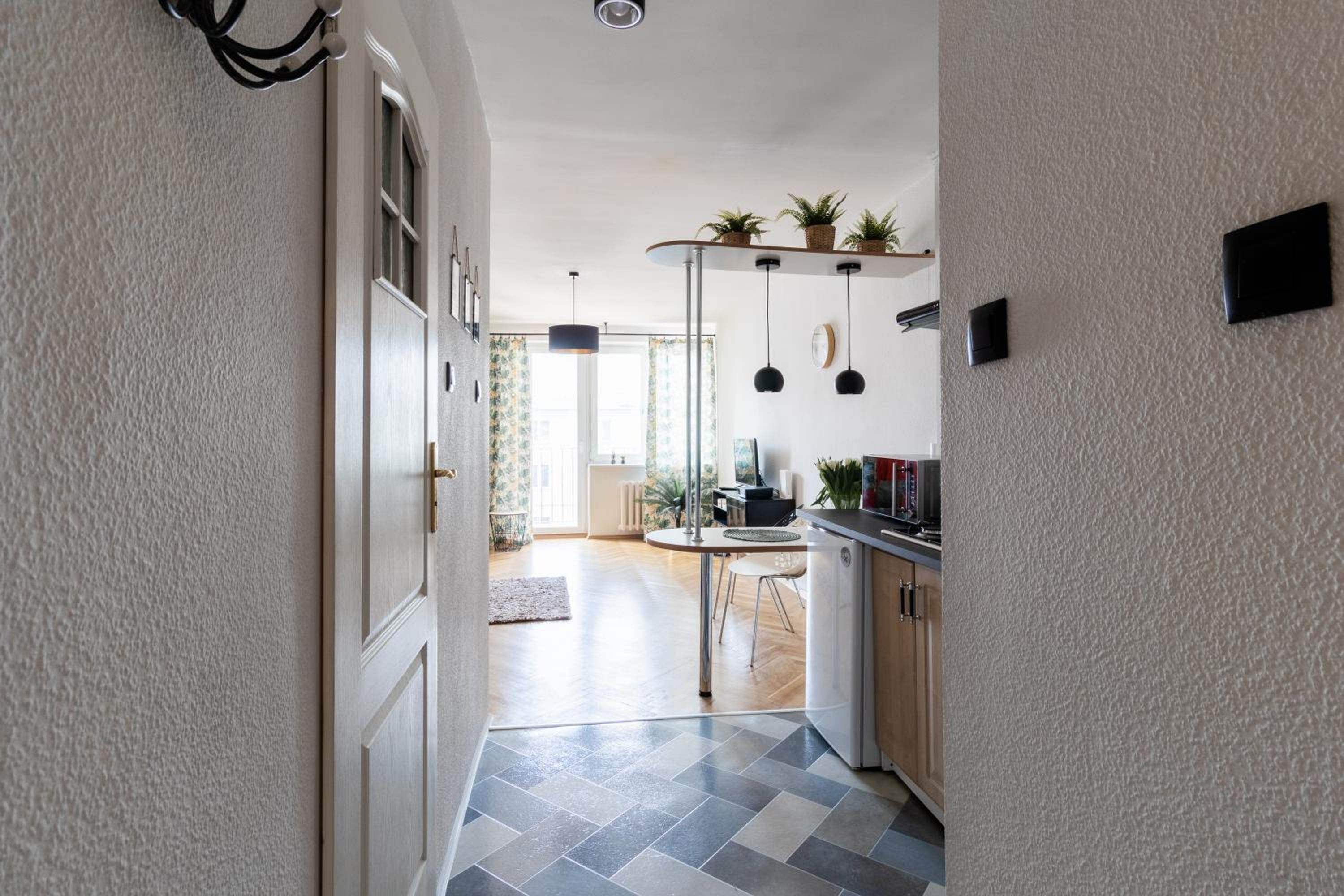 PiotrApartments IV view 4