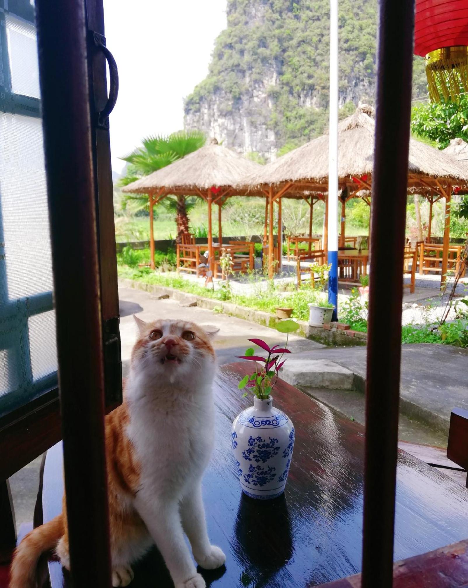 Pure Joy Resort