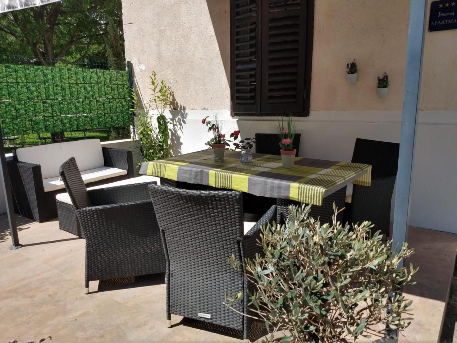 Apartment Lemon Tree view 3
