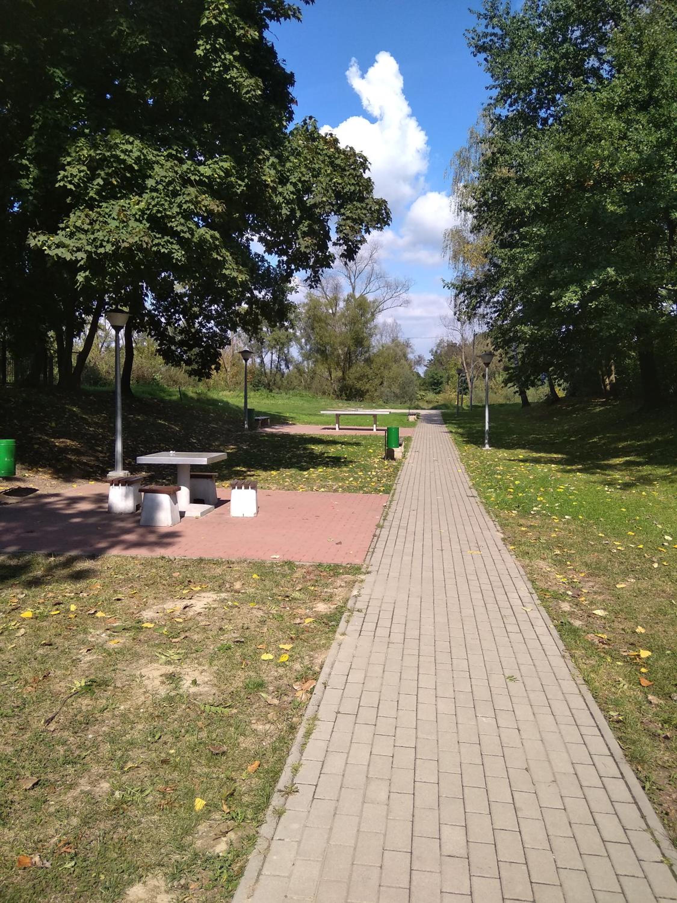 Photo 31