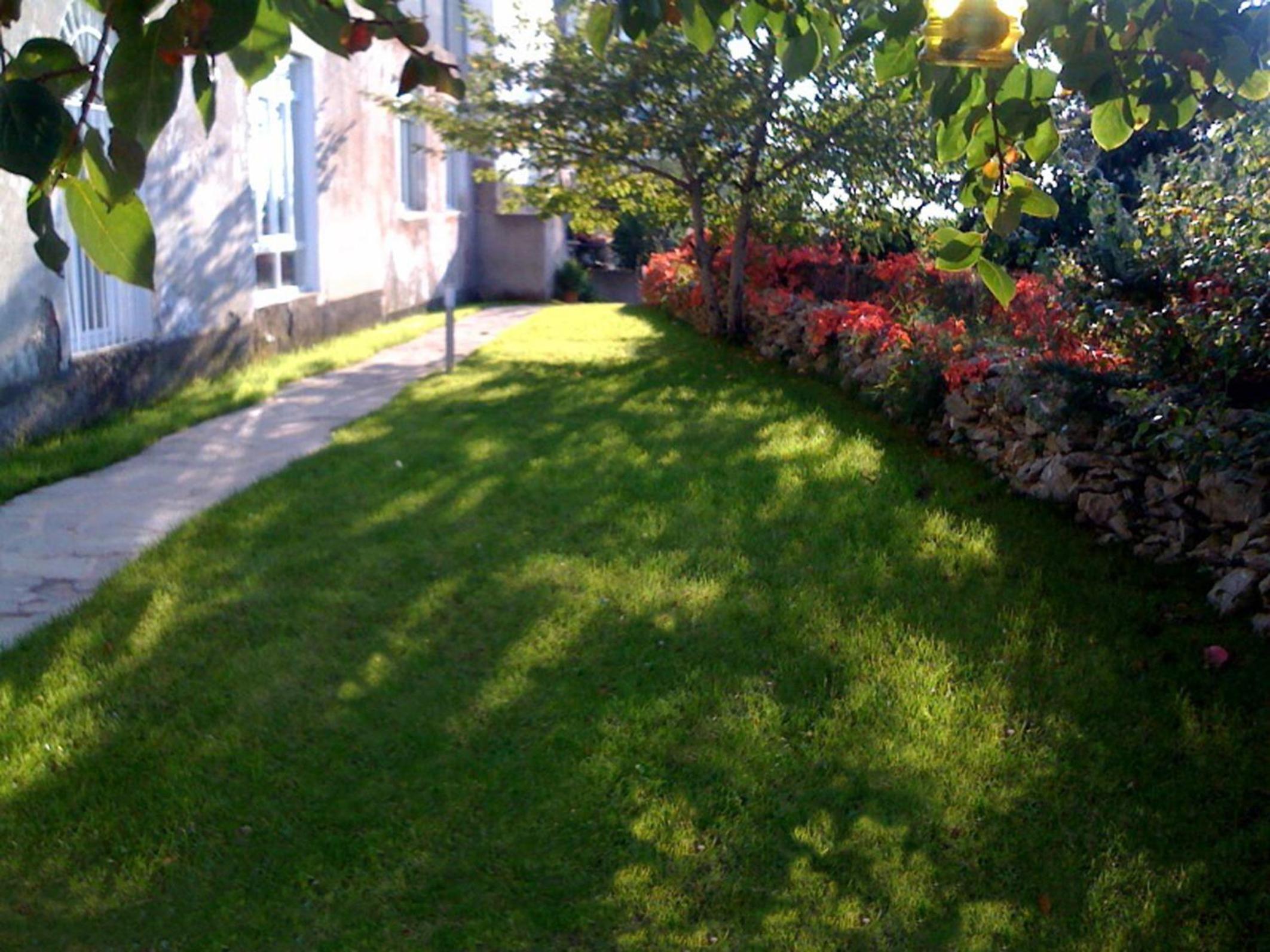 Photo 30