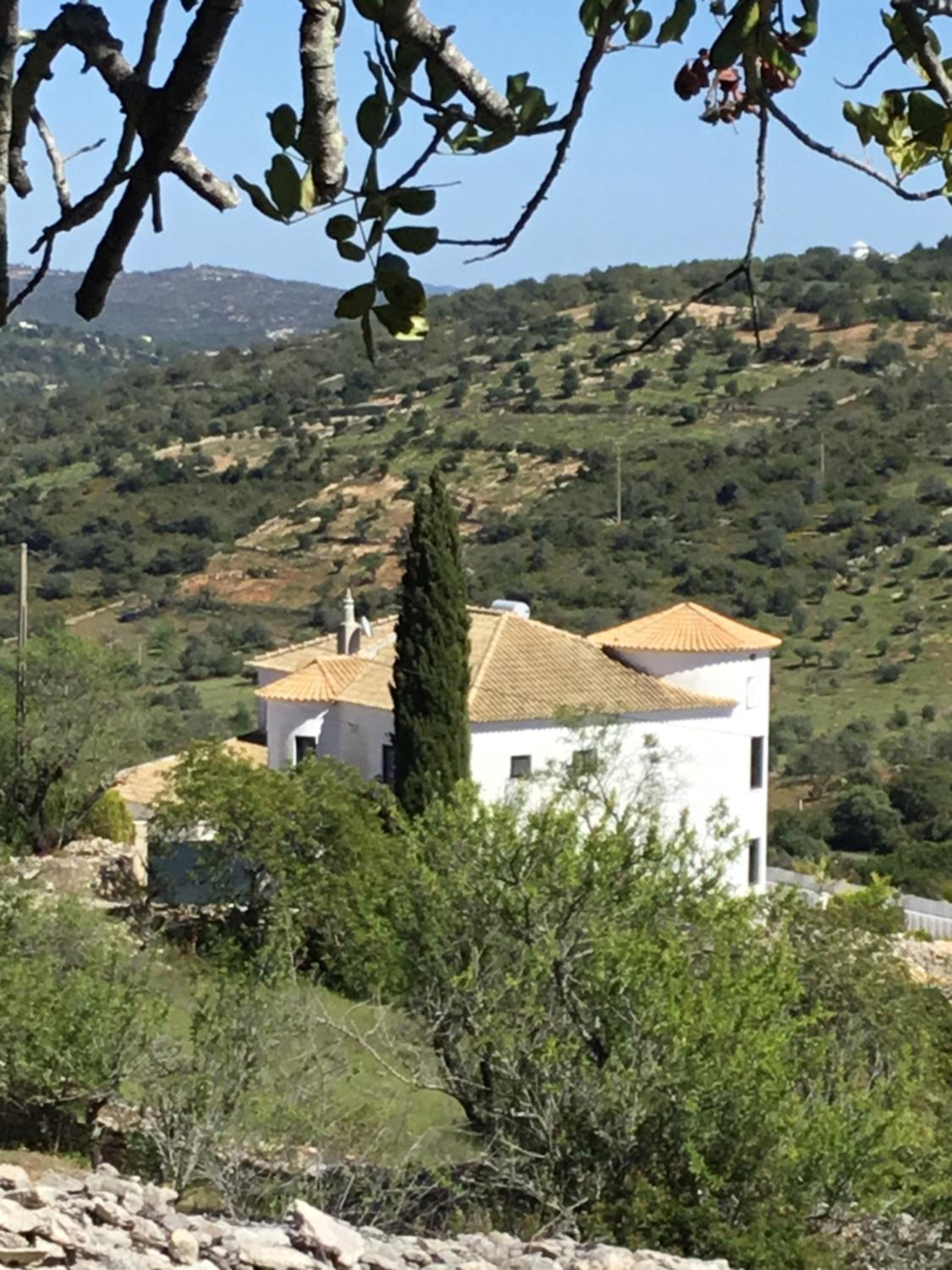 Photo 29