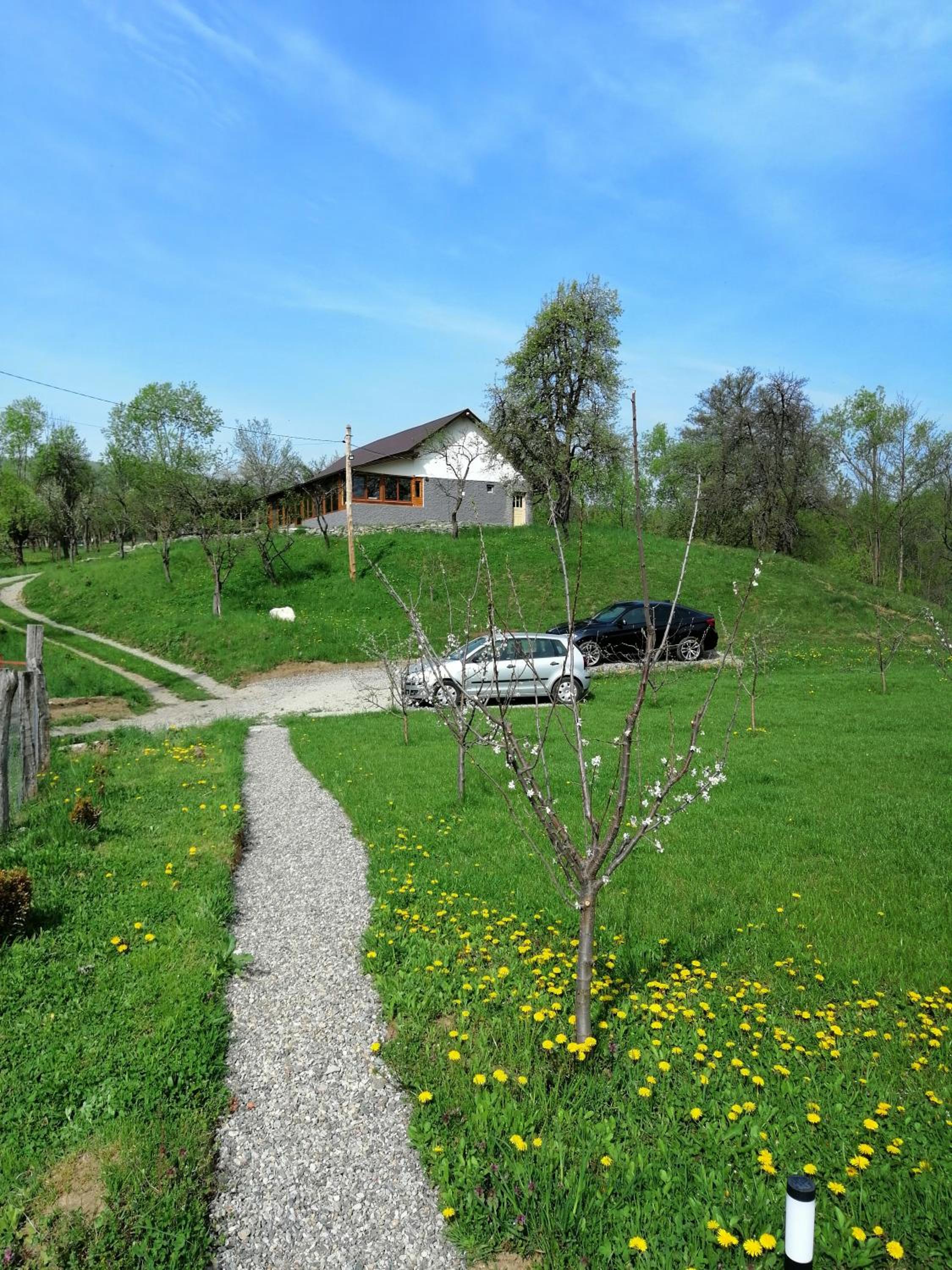 Photo 8
