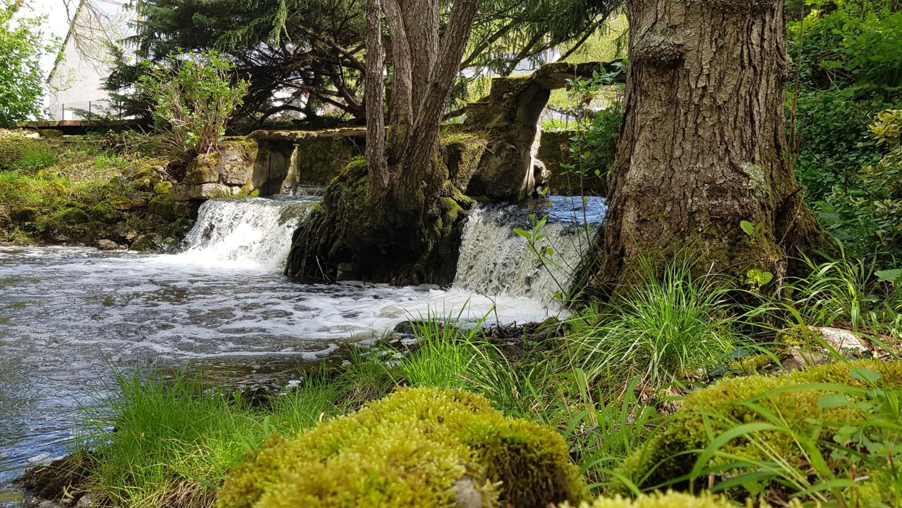 Le Moulin Hodoux view 4