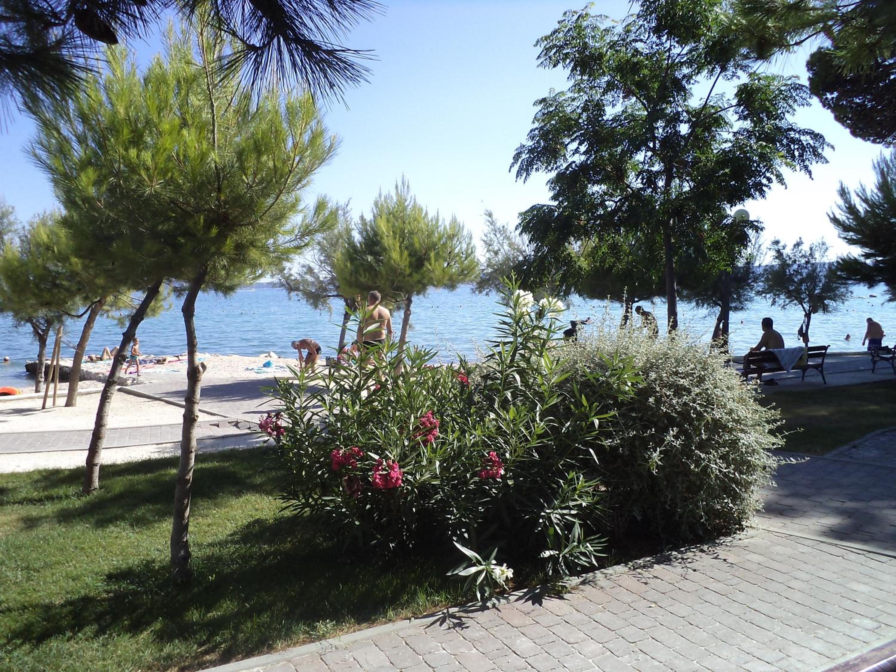 Photo 45