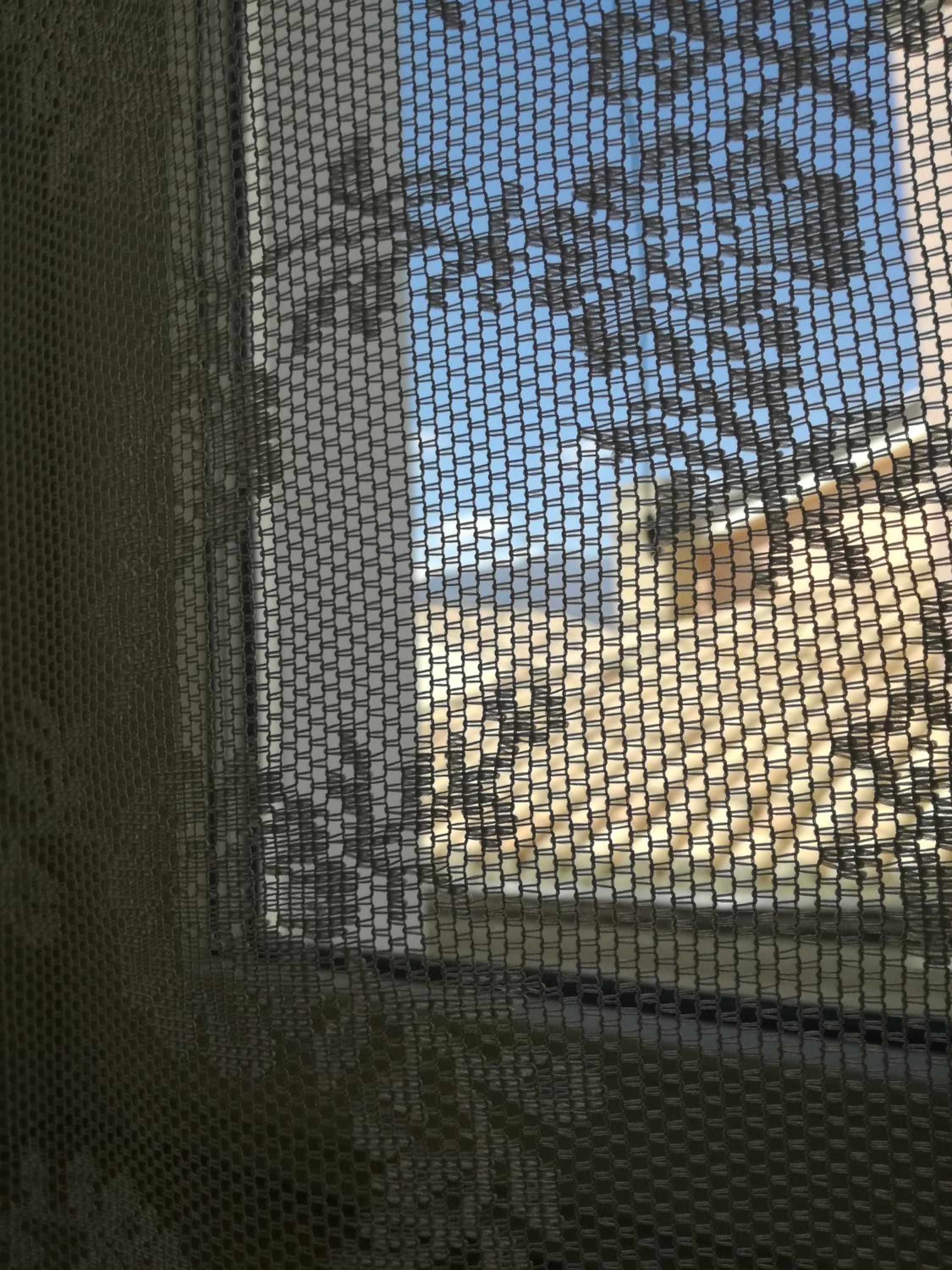 Photo 96