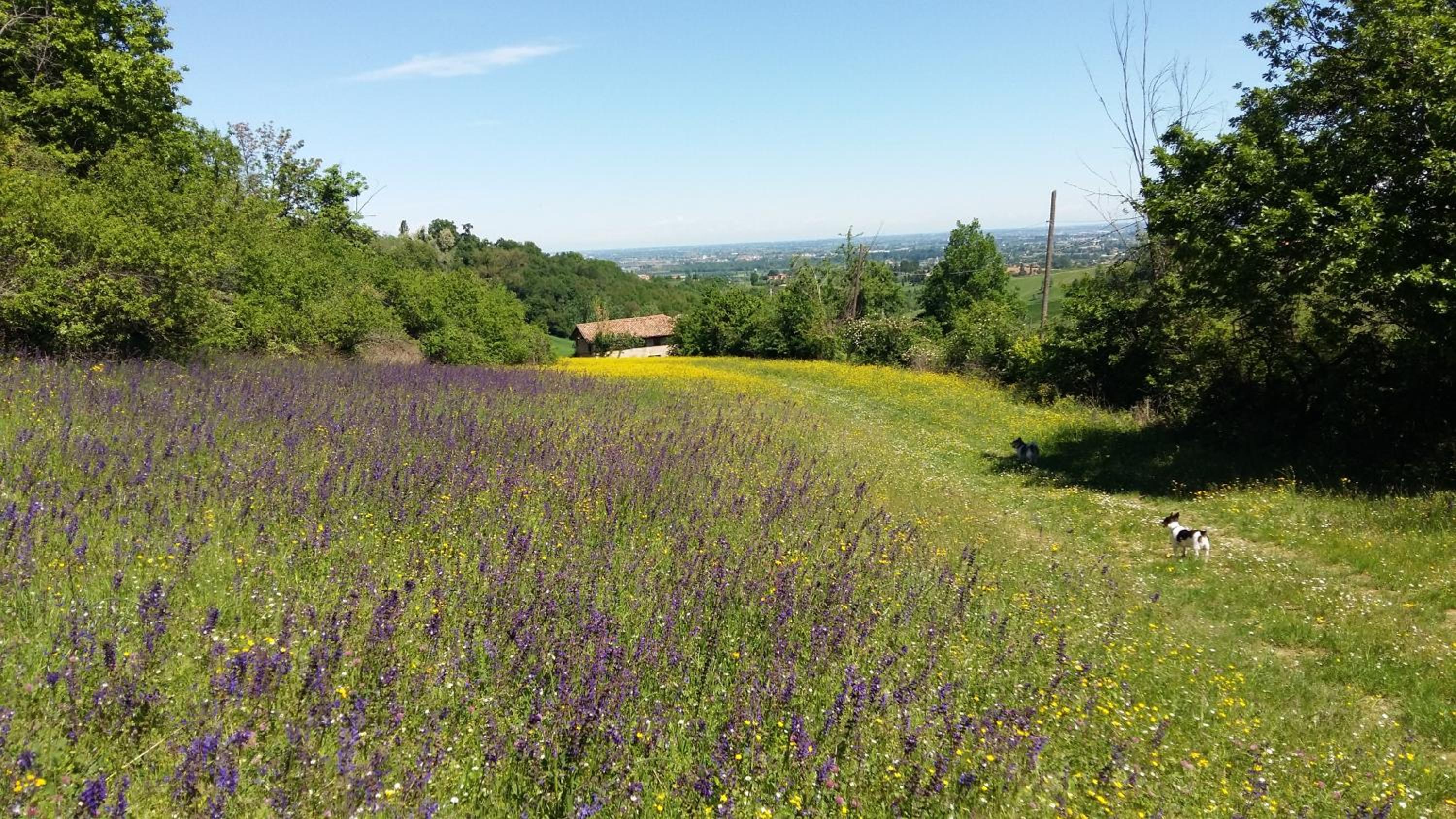 Agriturismo Montevecchio Isolani
