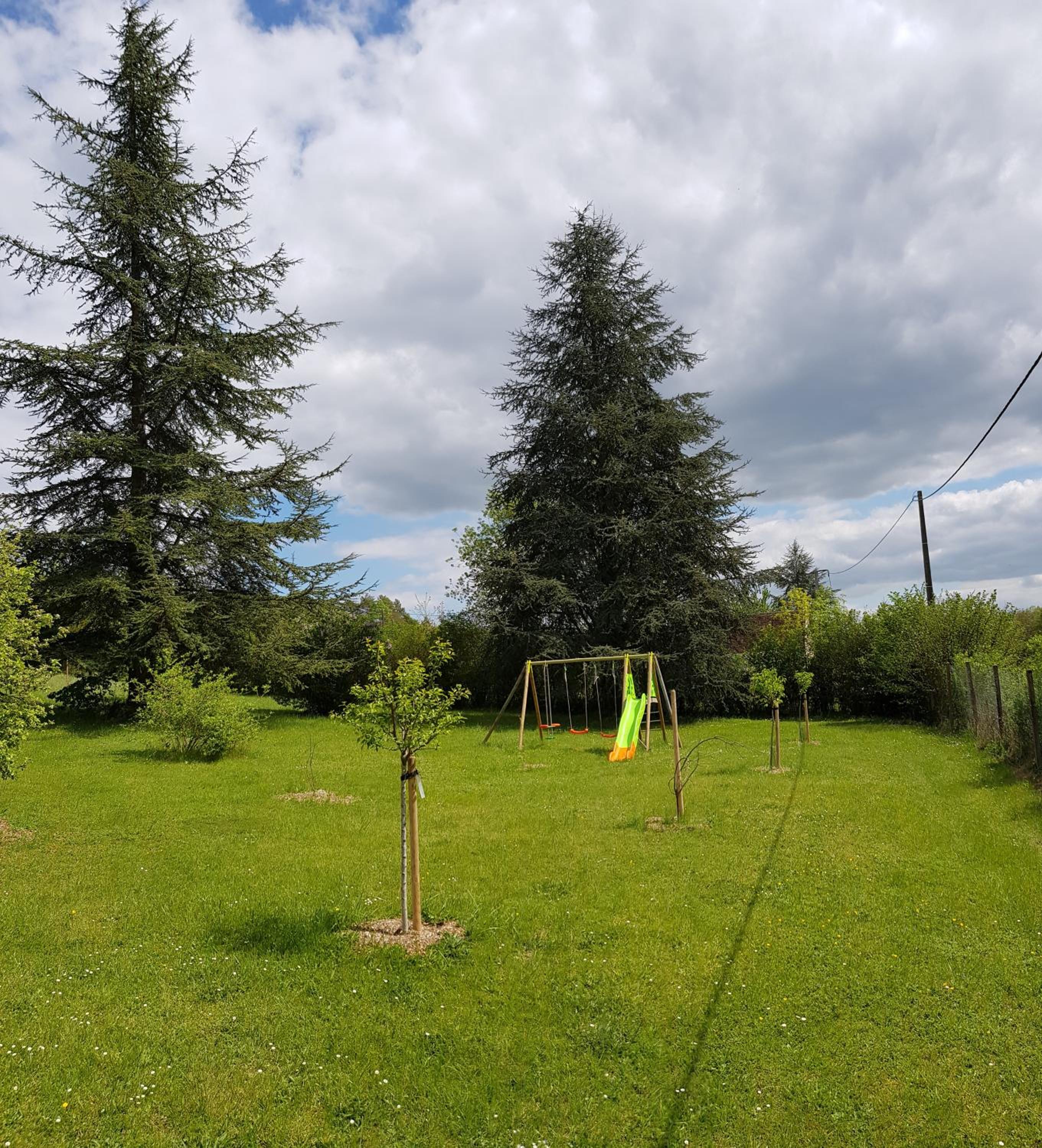 Photo 24