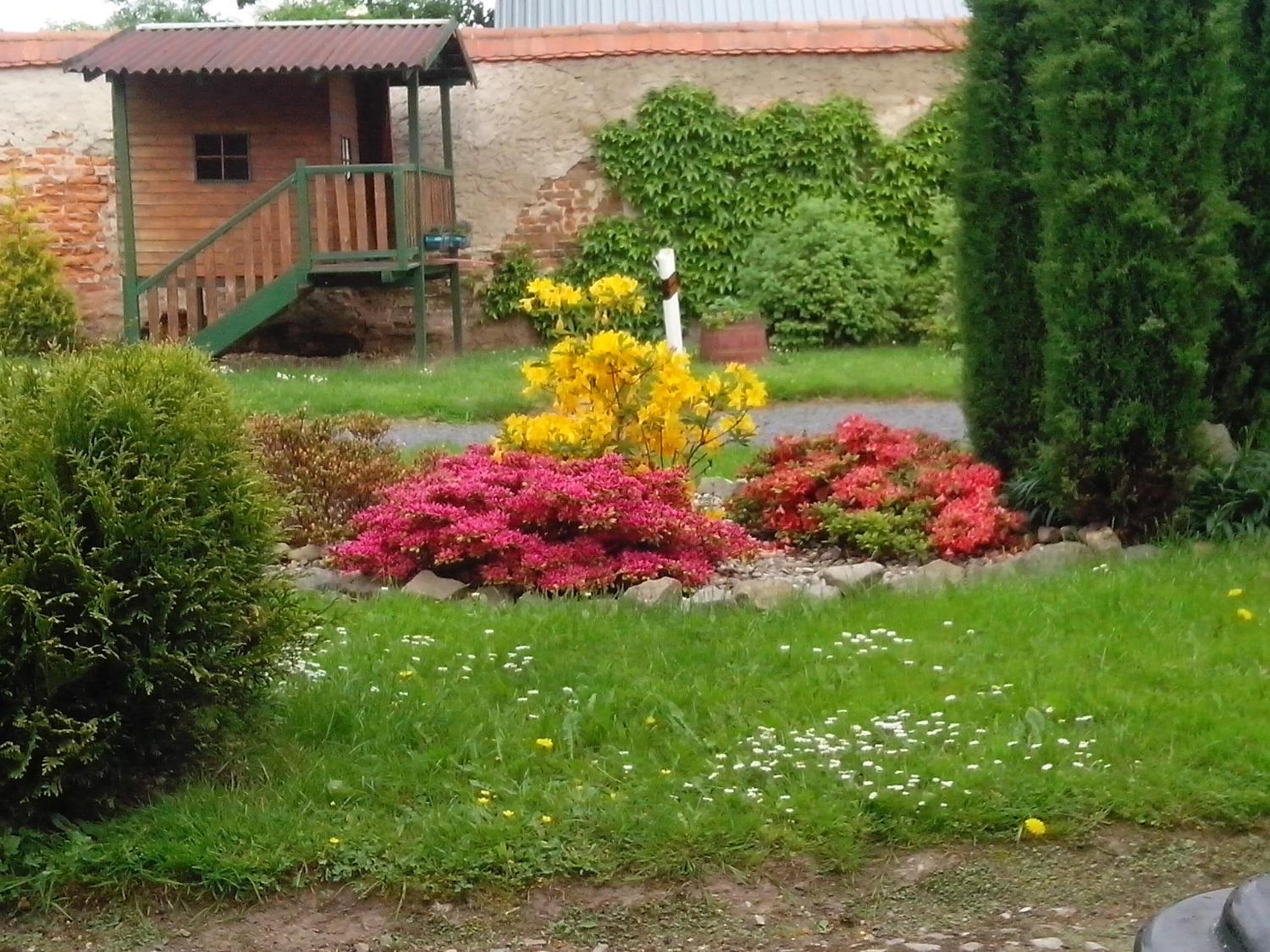 Photo 20
