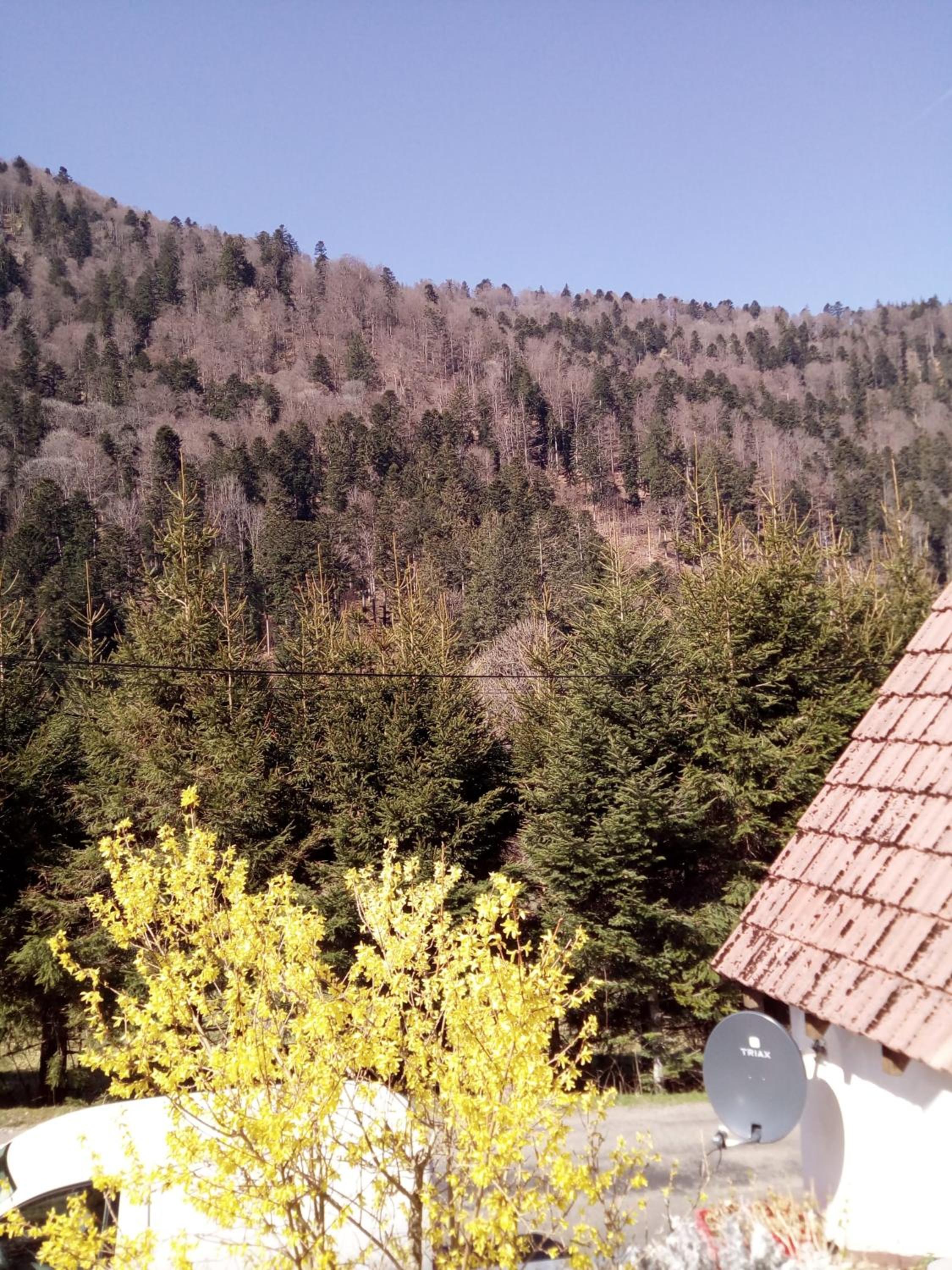 L Annexe view 2
