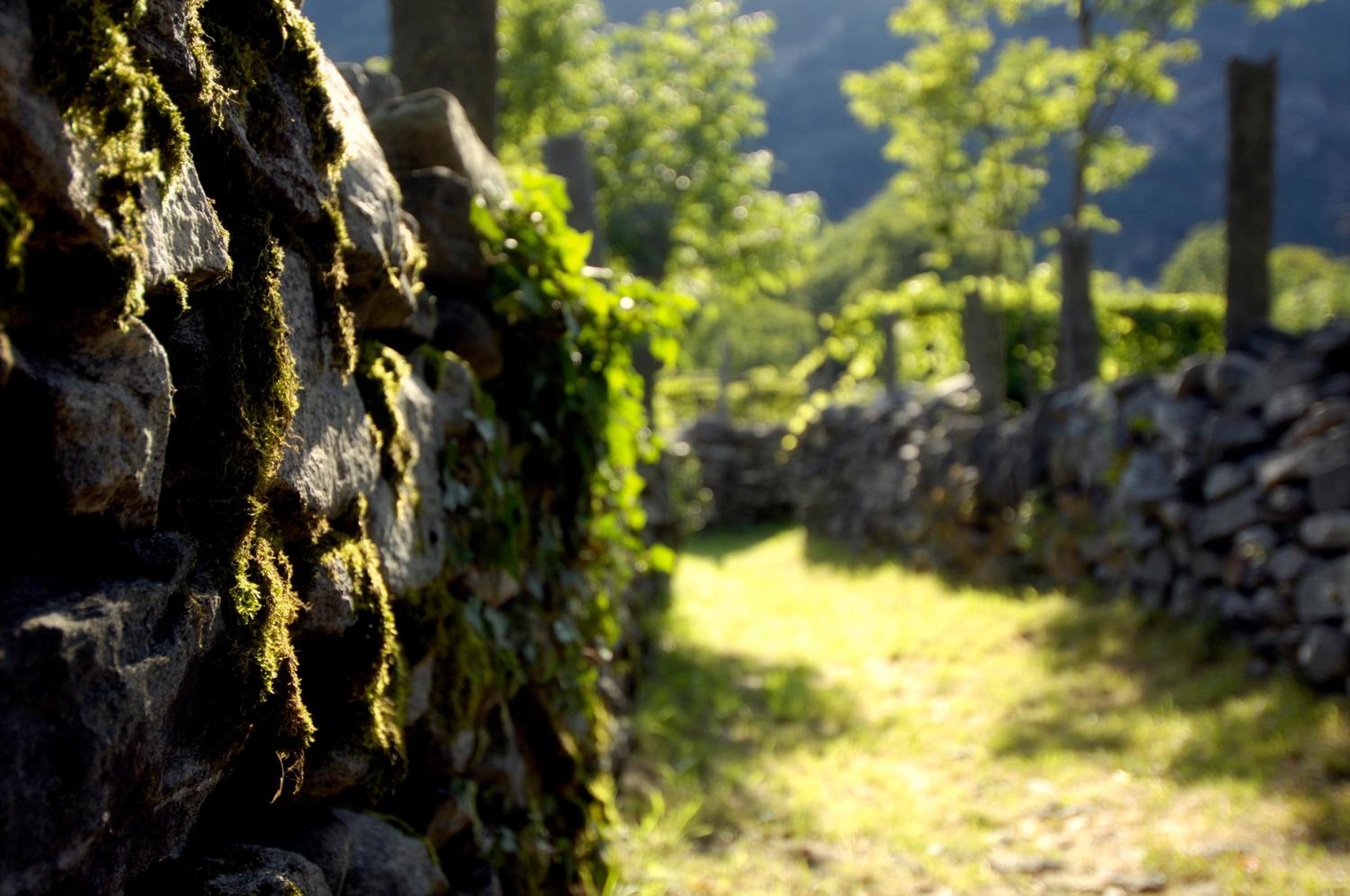 Pensione Boschetto