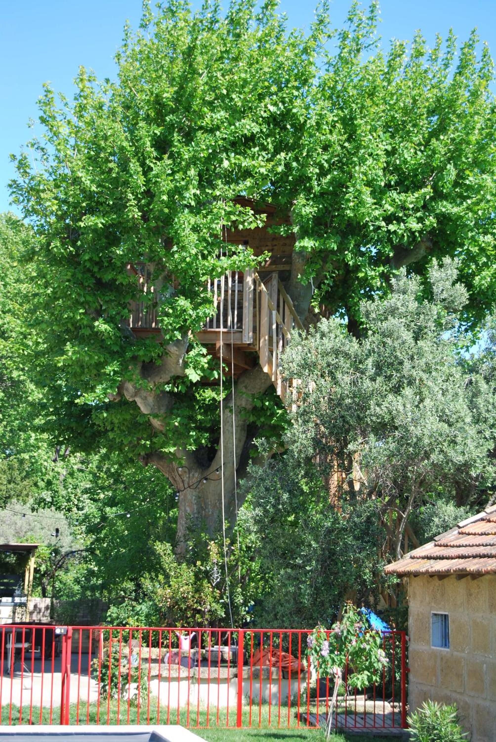 Photo 24