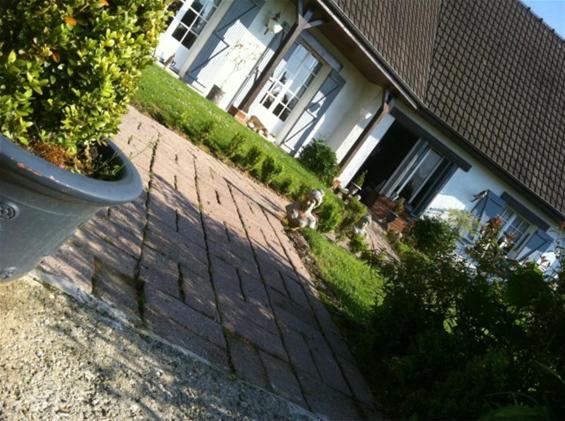 le jardin adele view 5