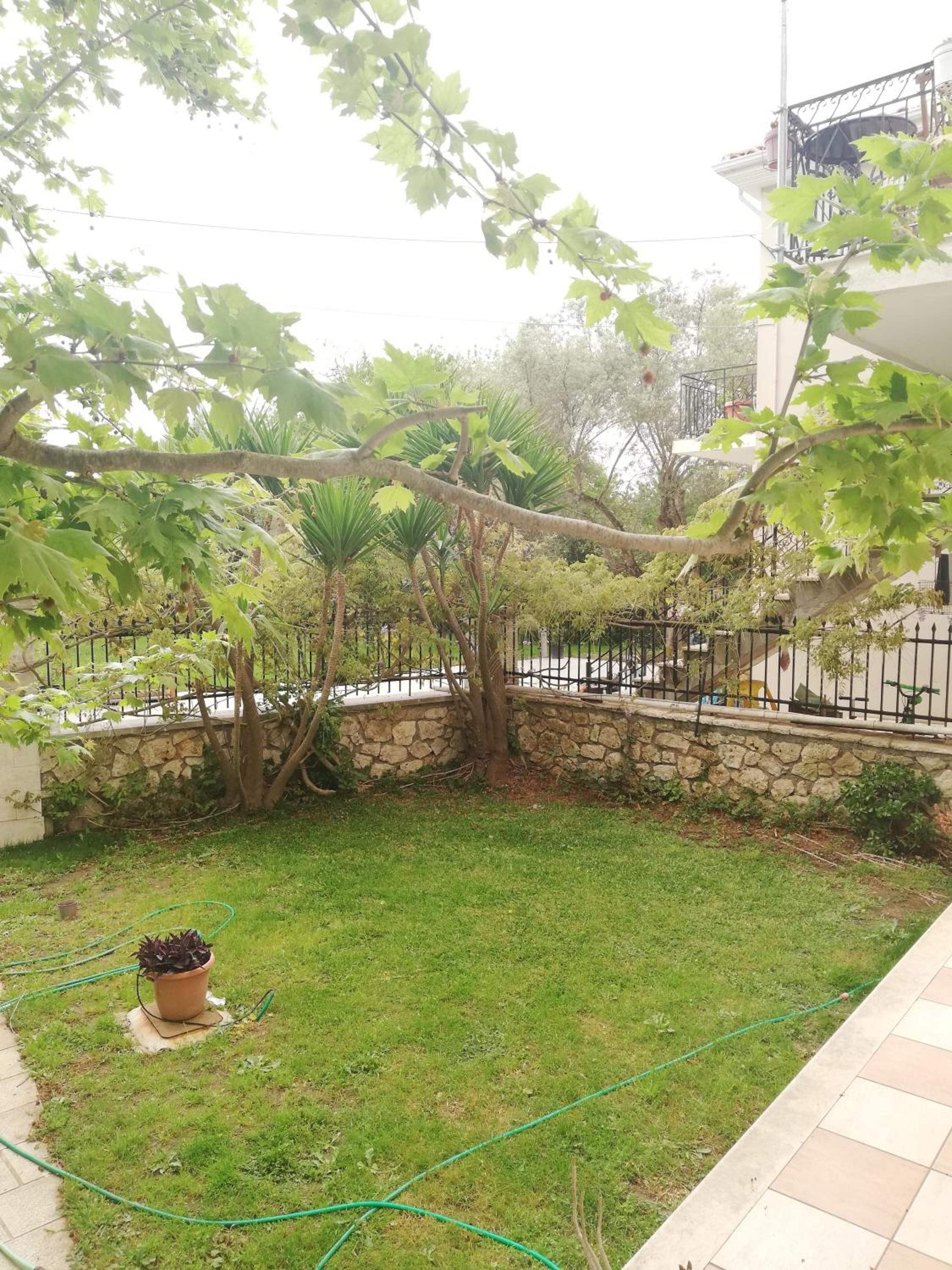 Photo 31