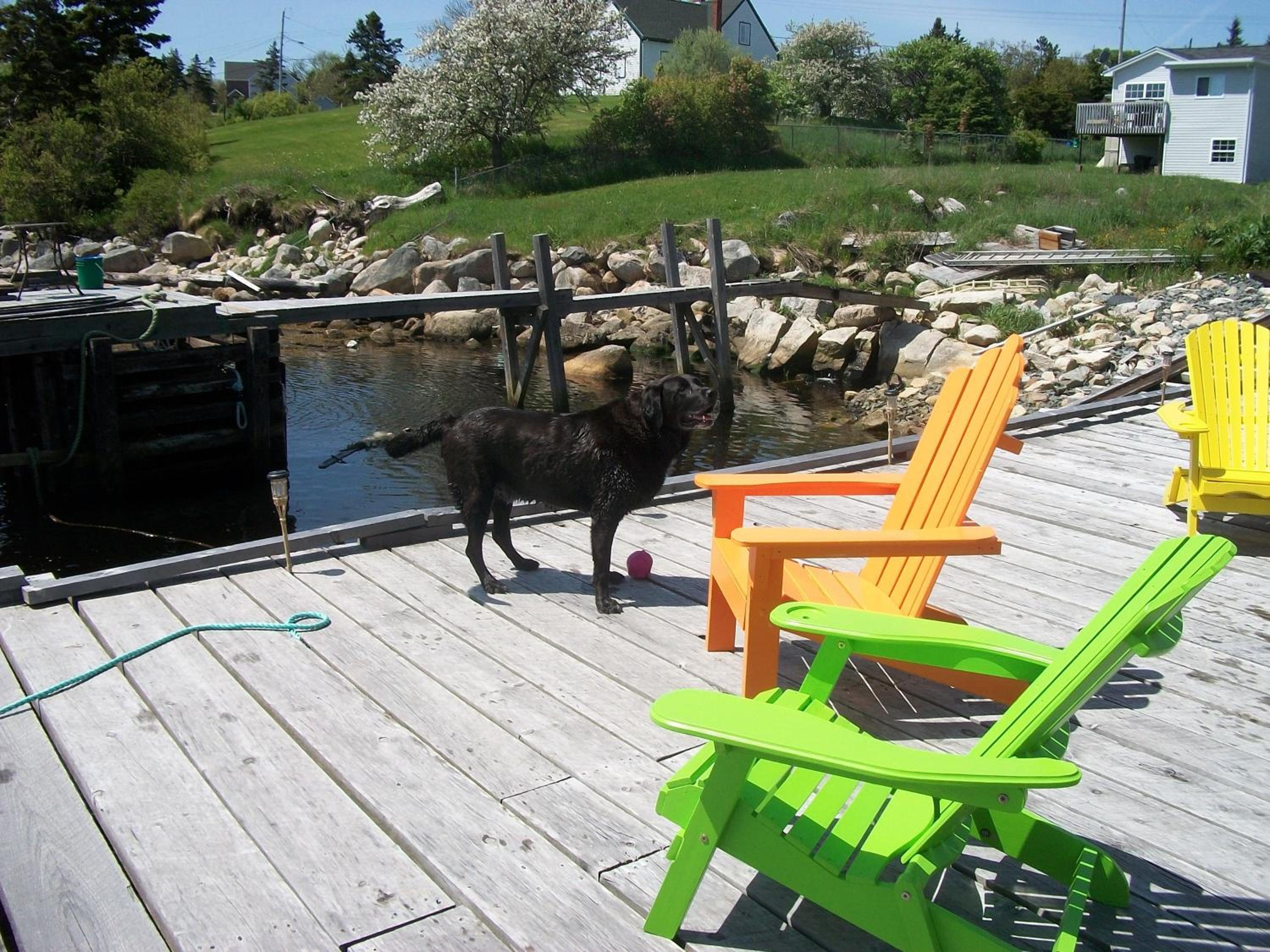 Sal's Bed and Breakfast by the Sea