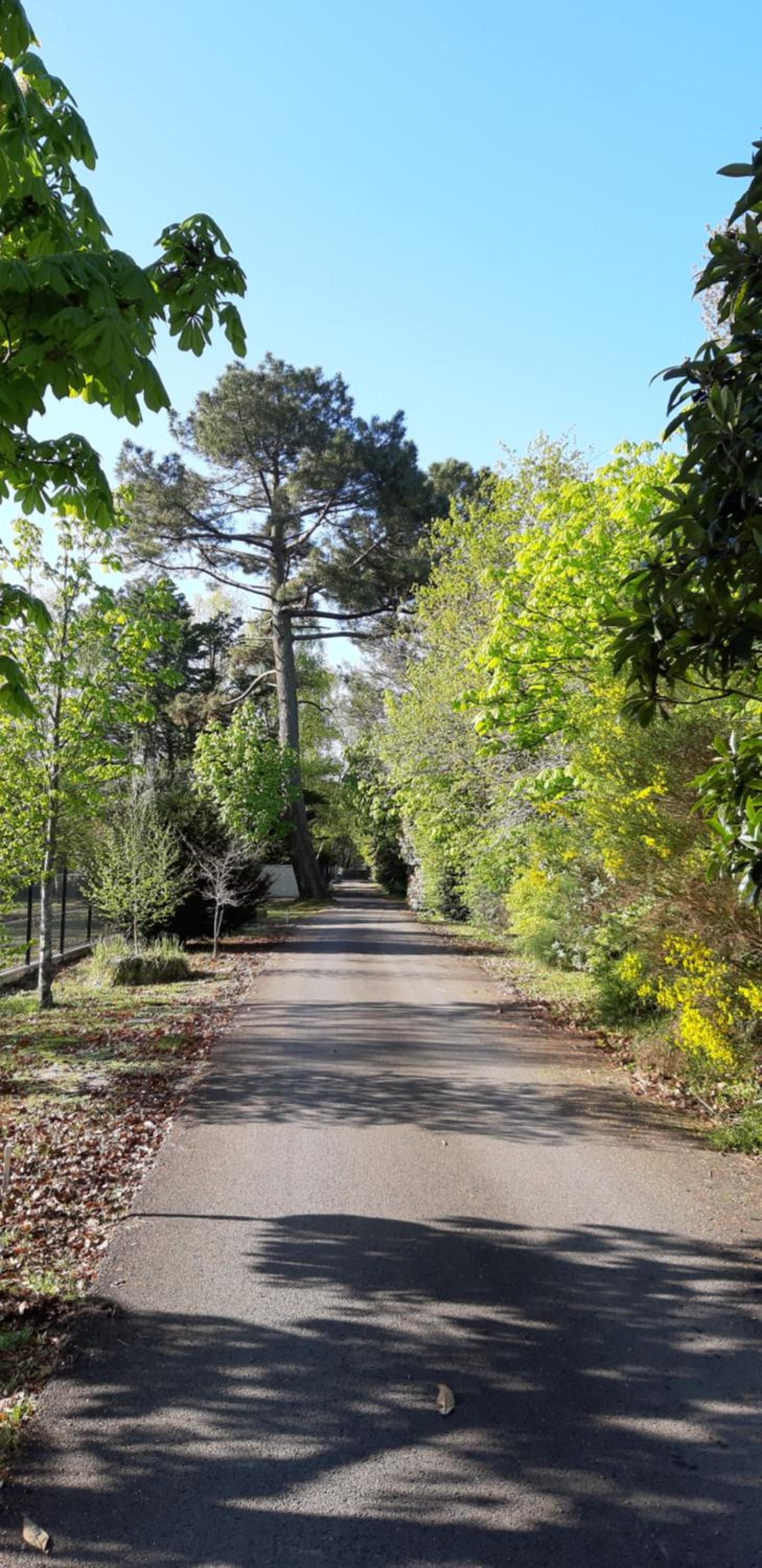Le Domaine d'Azae