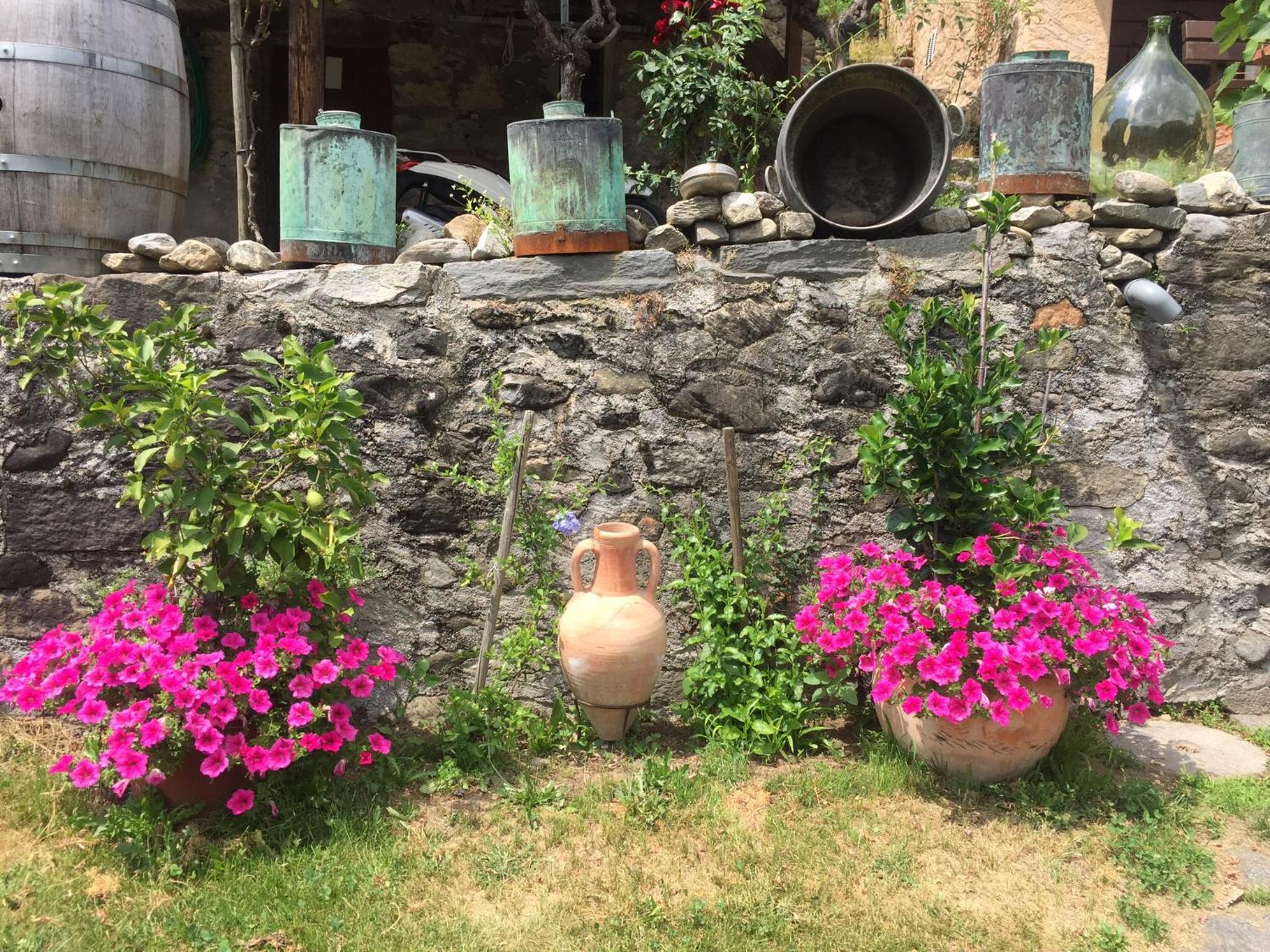 Casa immersa nel vigneto view 2