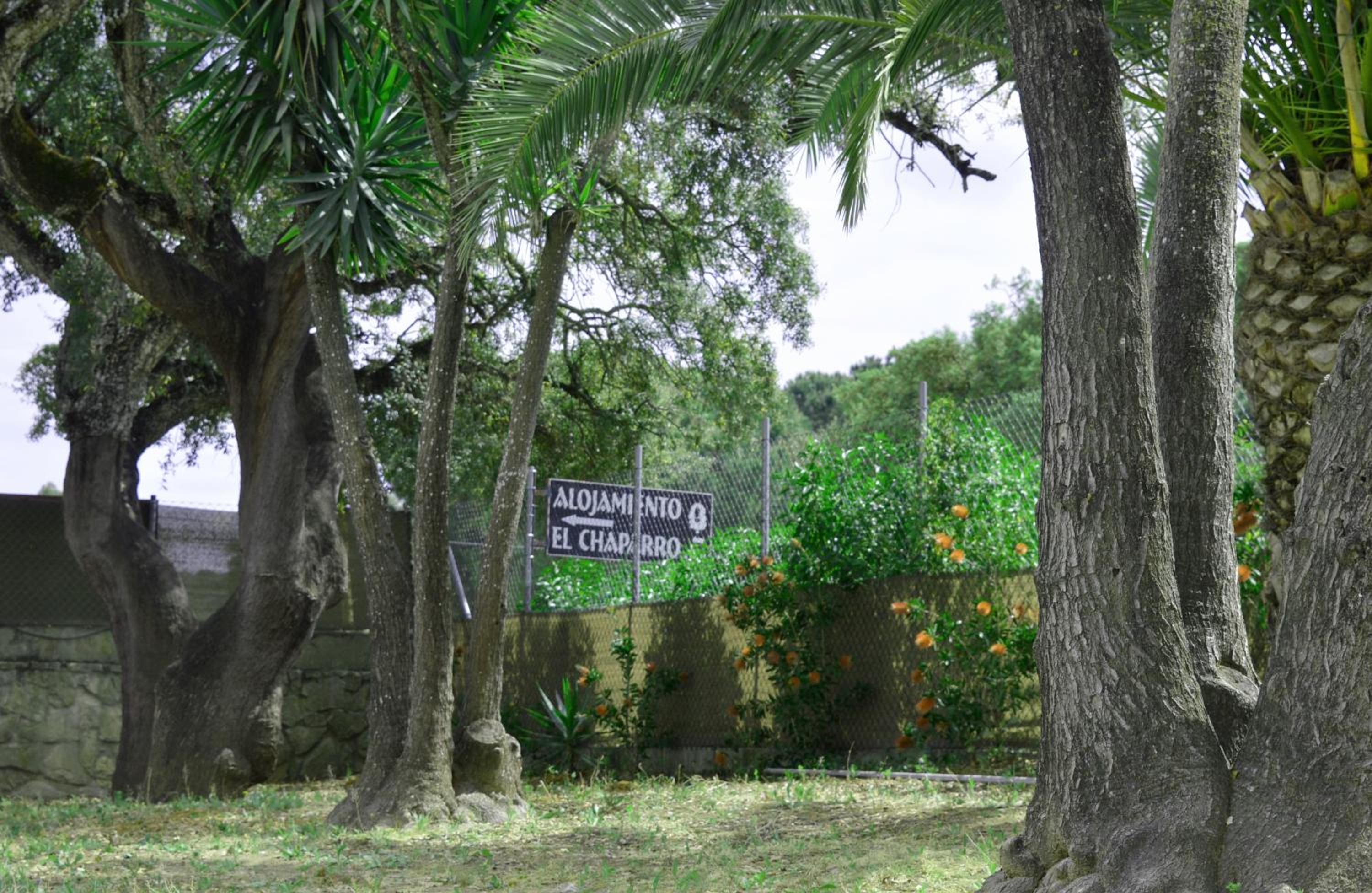 Photo 57