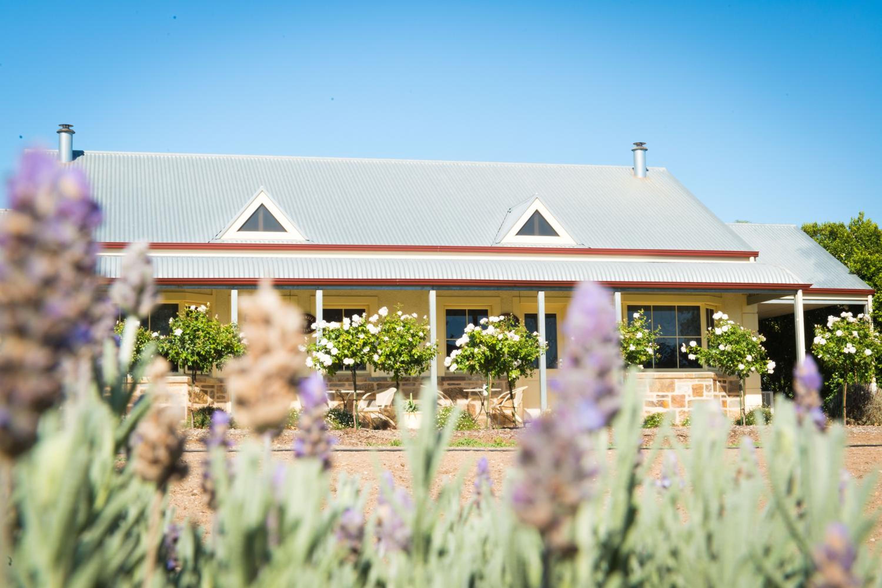Barossa Vineyard Cottages view 4