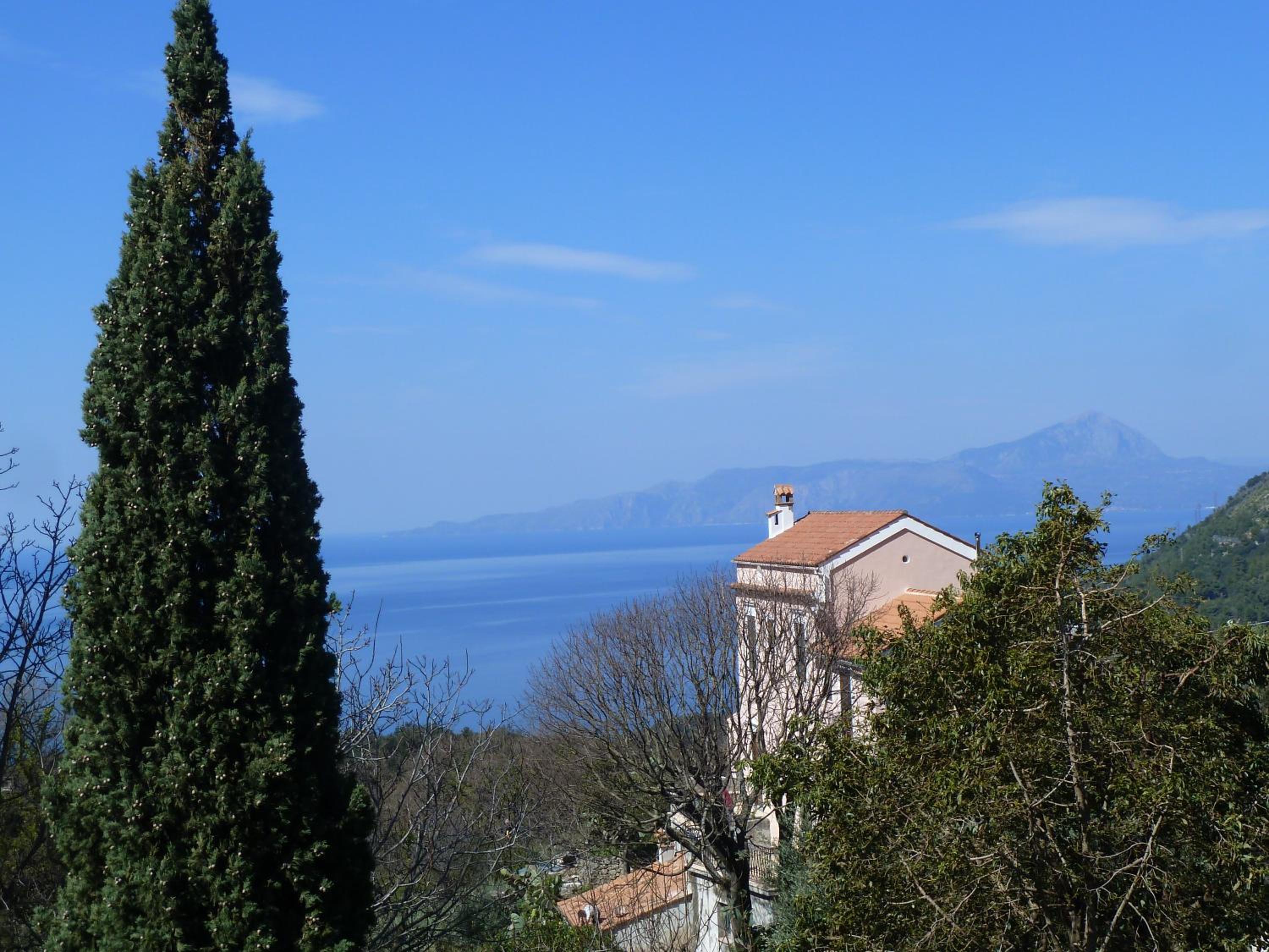 Photo 45