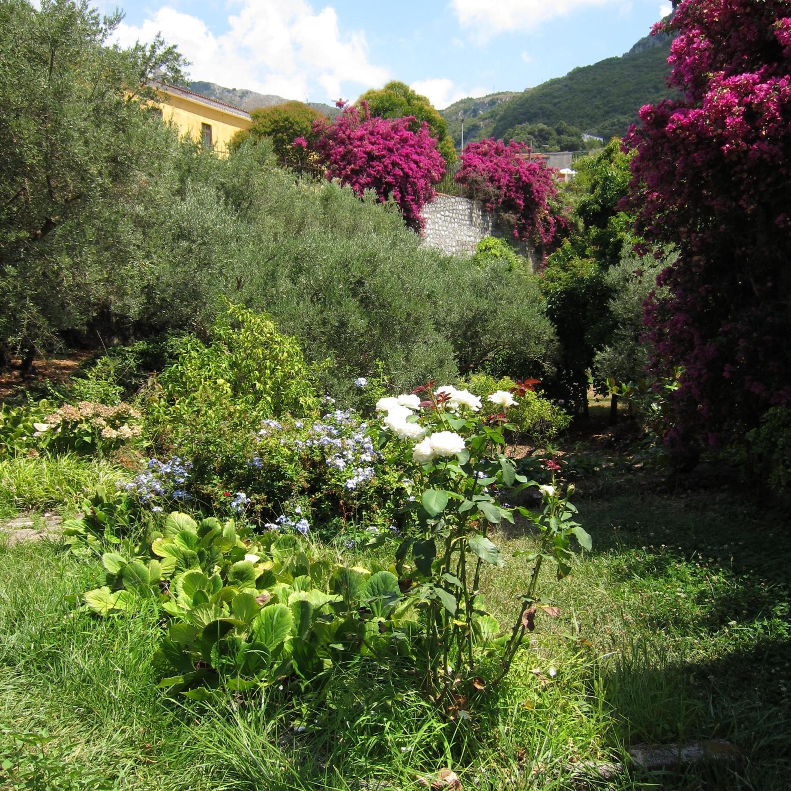 Photo 27