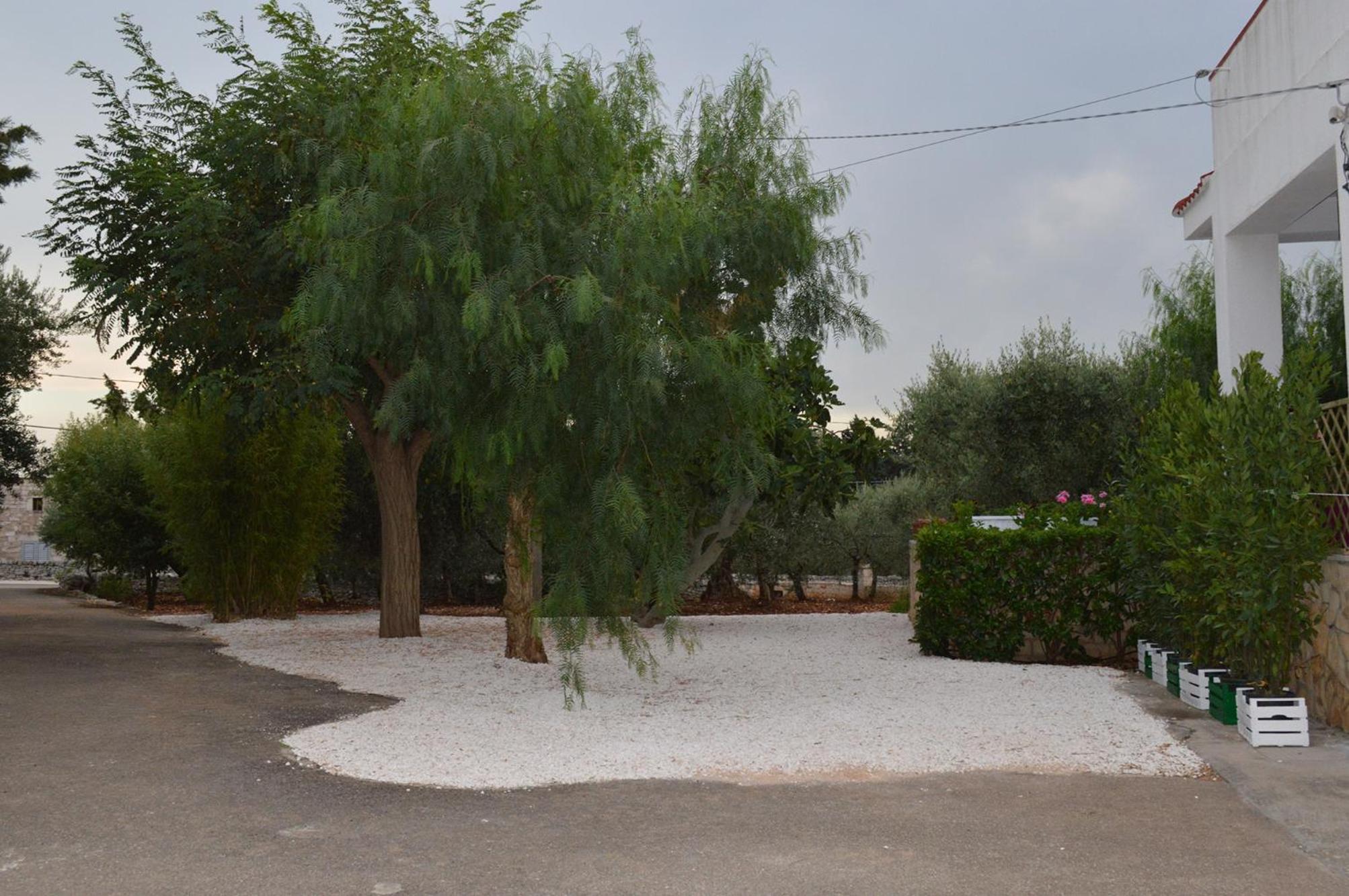 Photo 41