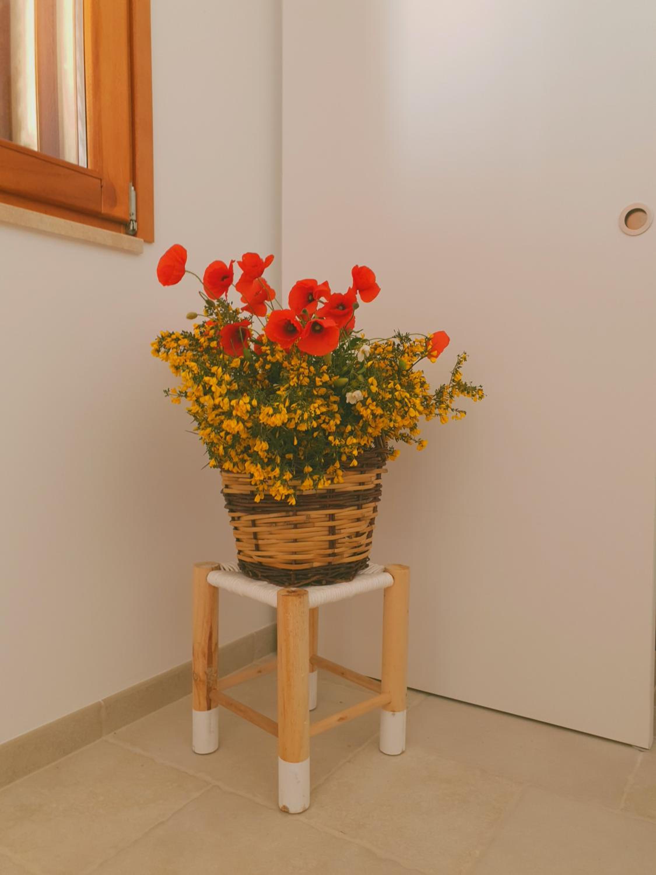 Photo 30