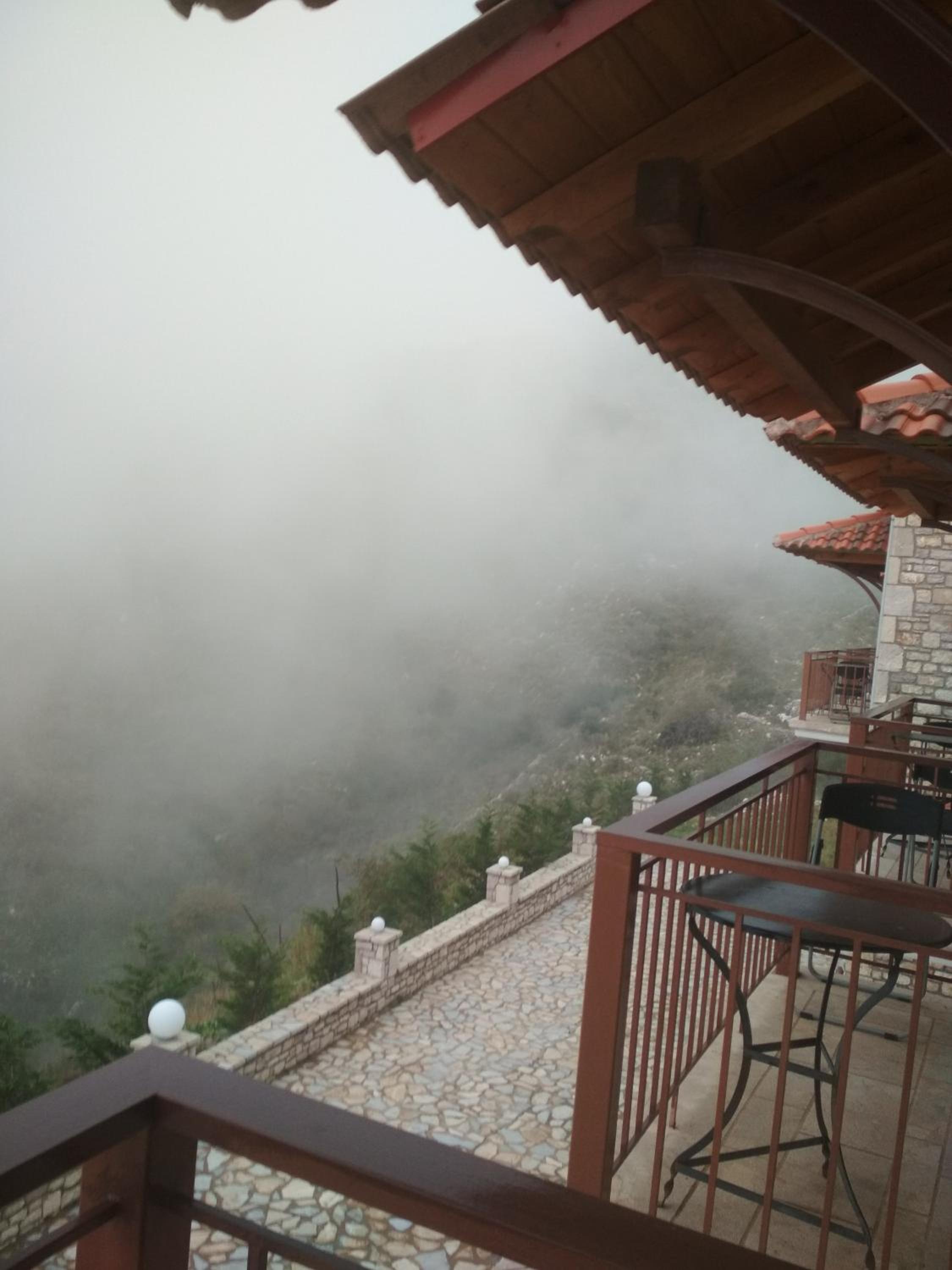Elova view 5
