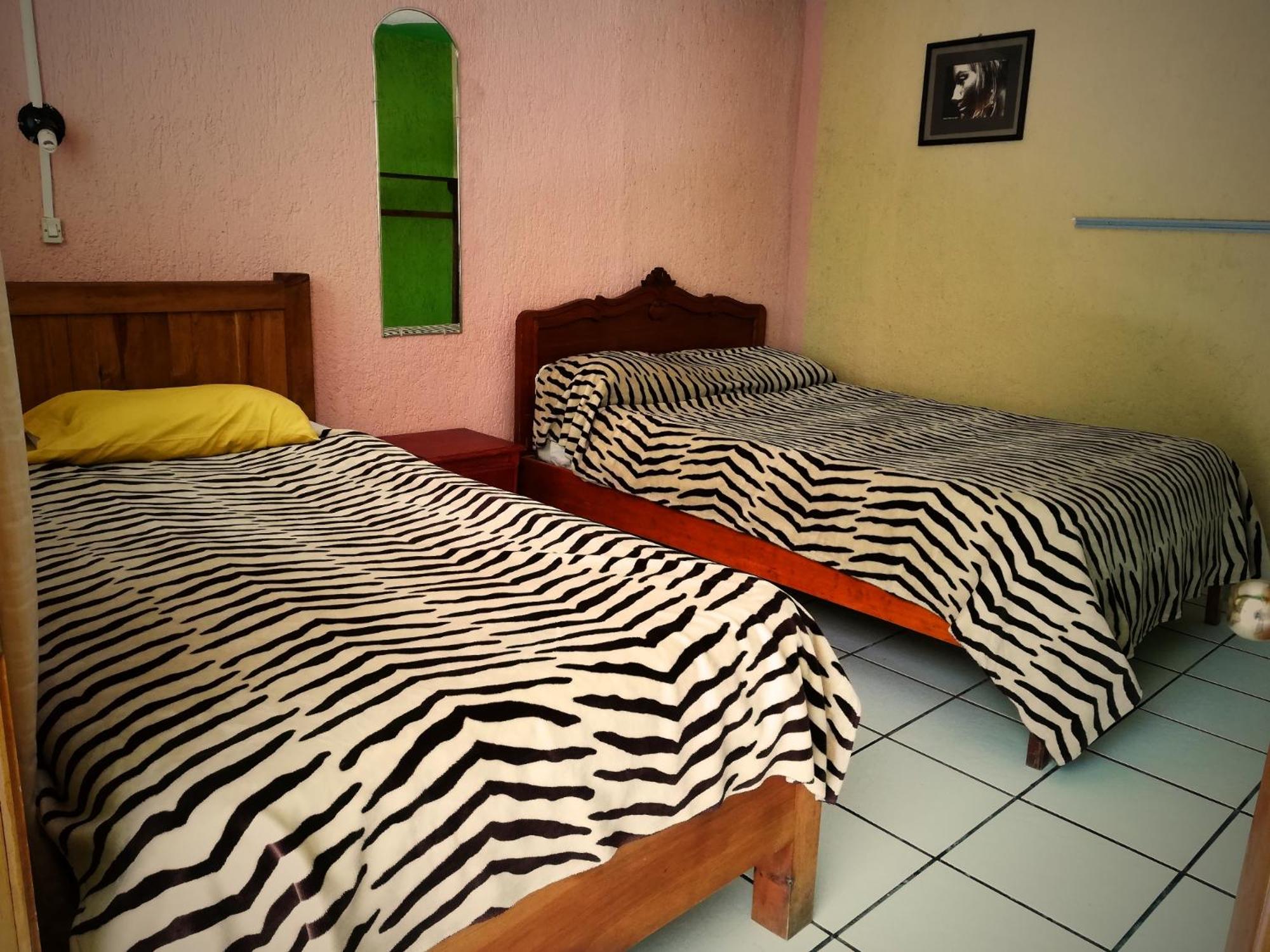 Iguana Hostel