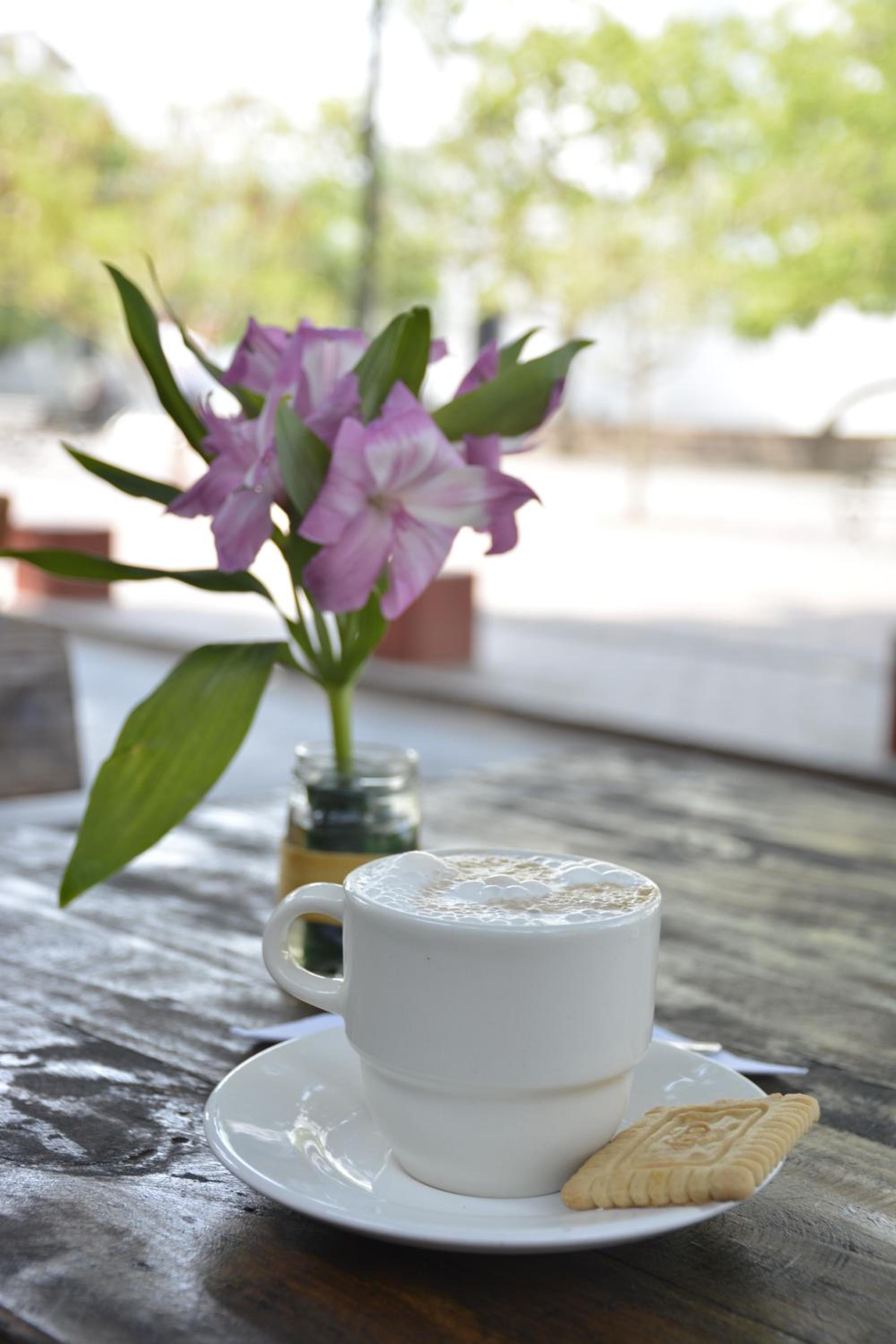 BASILICA HOSTAL Y CAFE