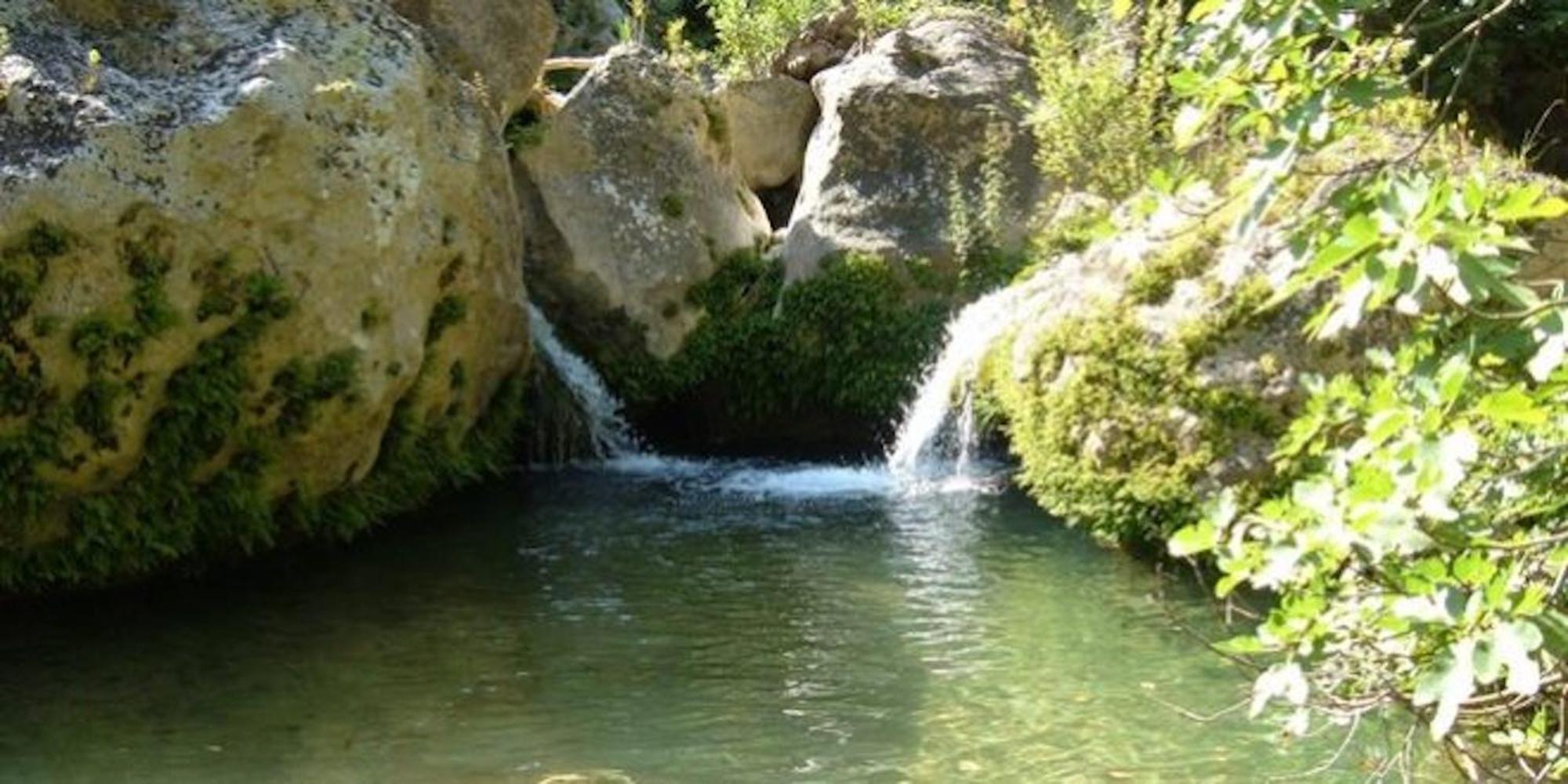 Photo 28