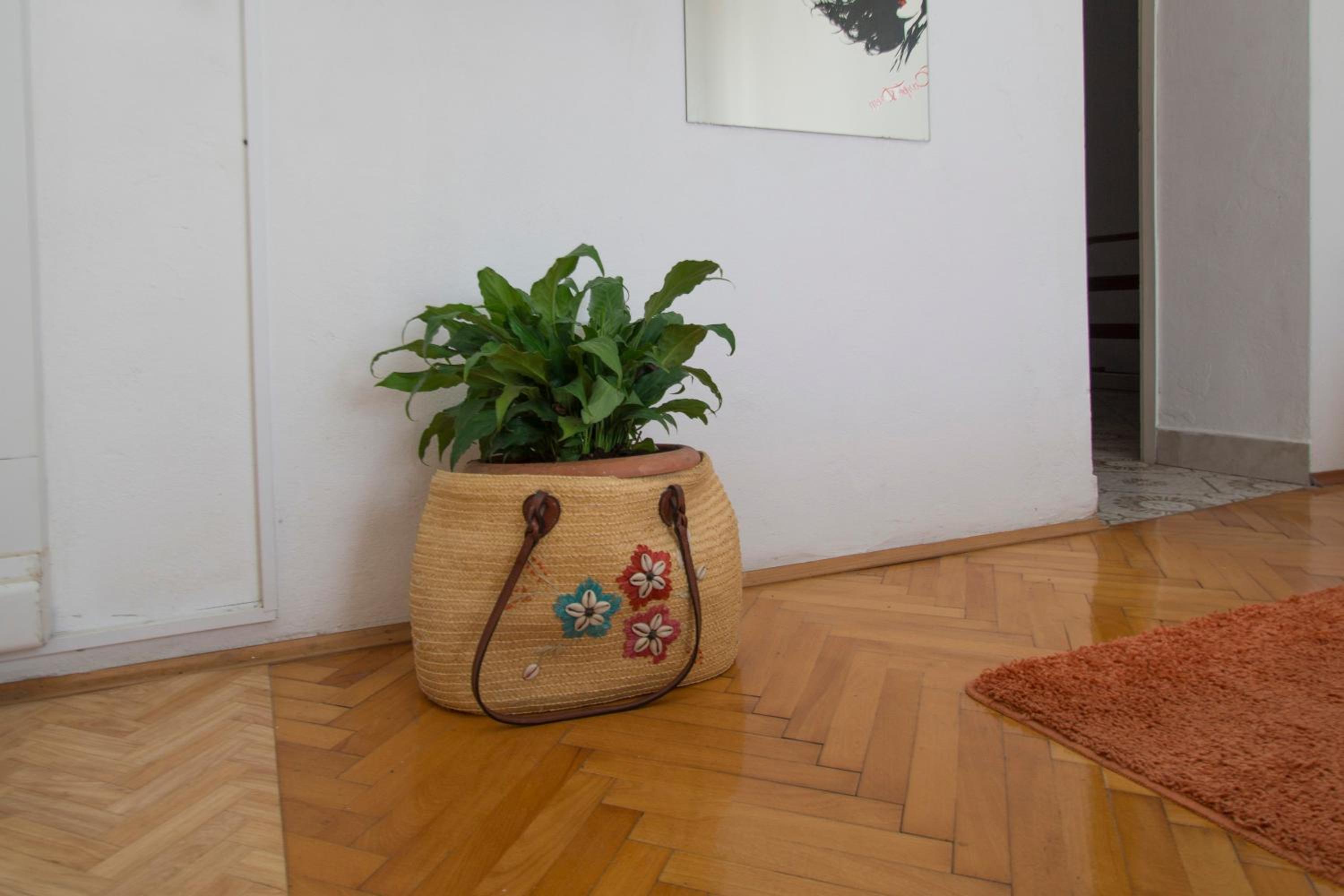 Studios Bačić view 5