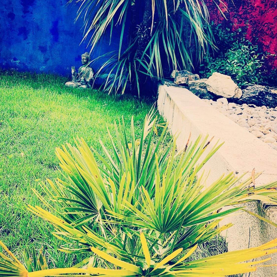 Photo 34