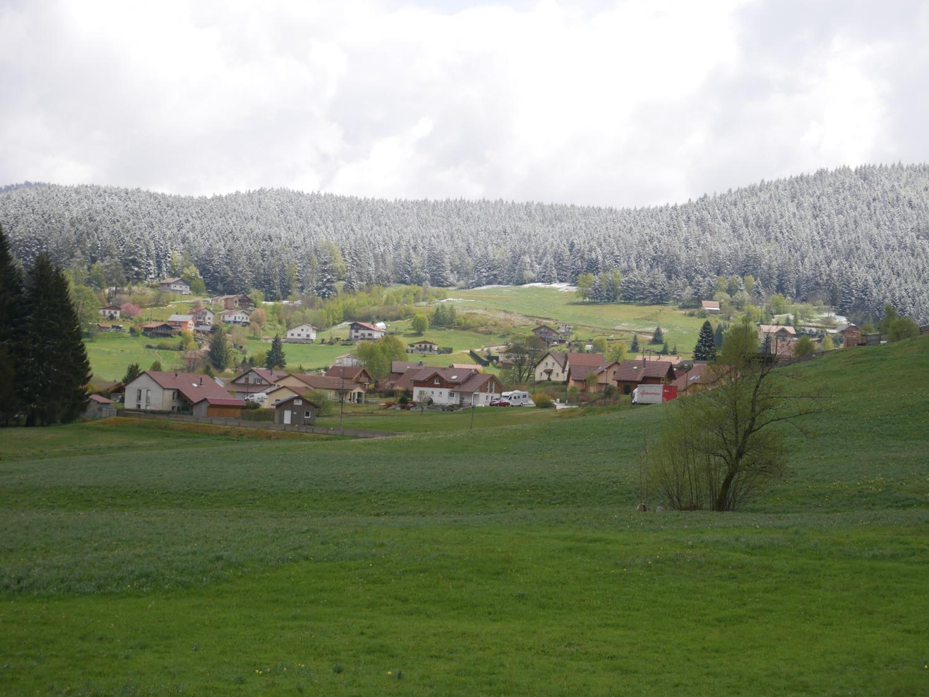 Photo 40