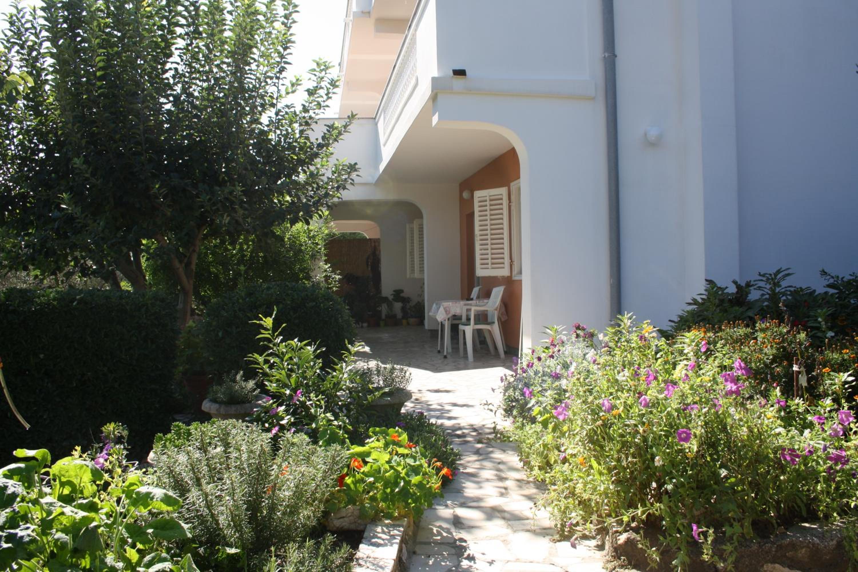 Apartments Sandra