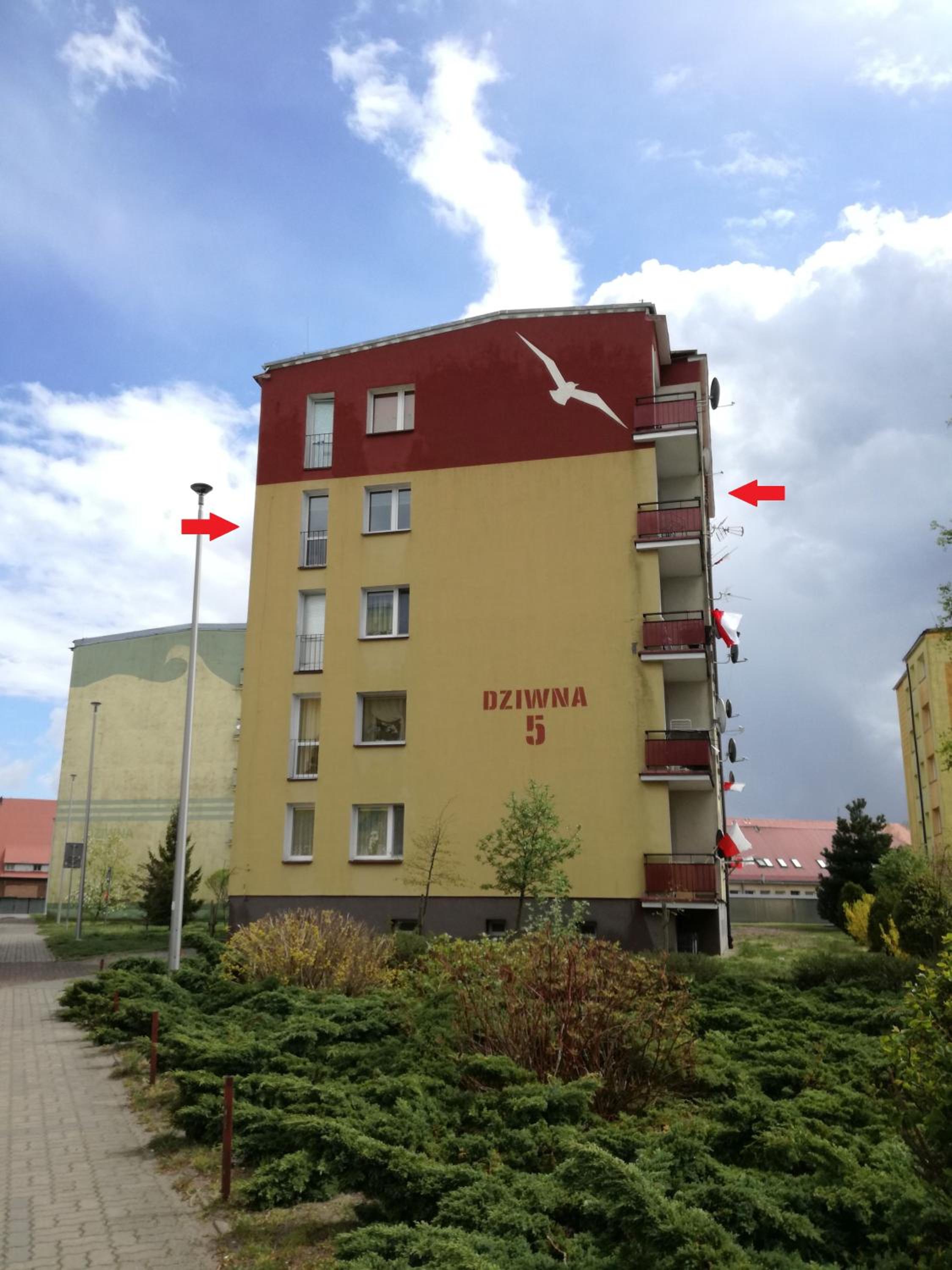 Apartament Nad Dziwną