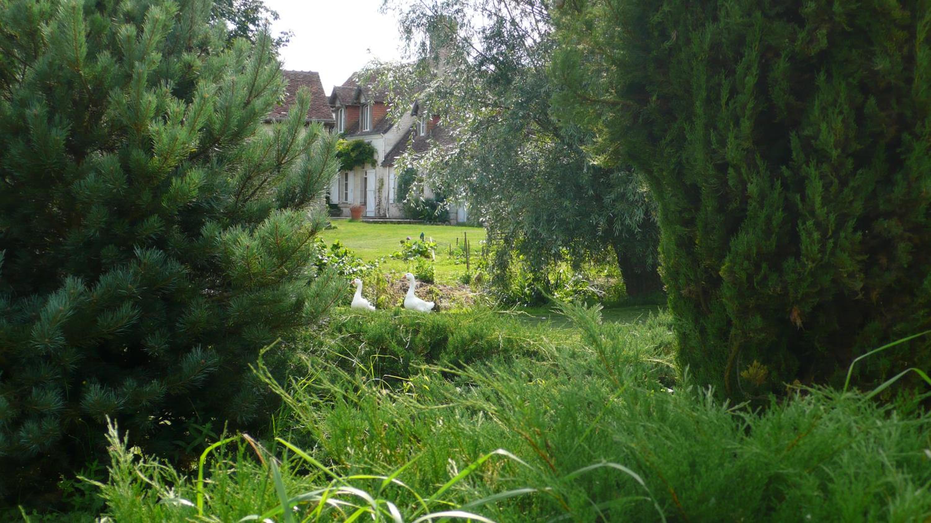 Hôte Sainte Marie