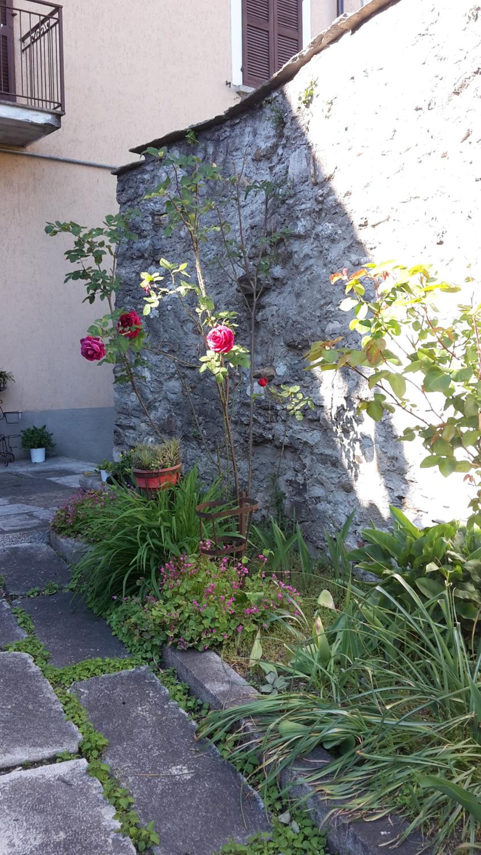 Photo 62