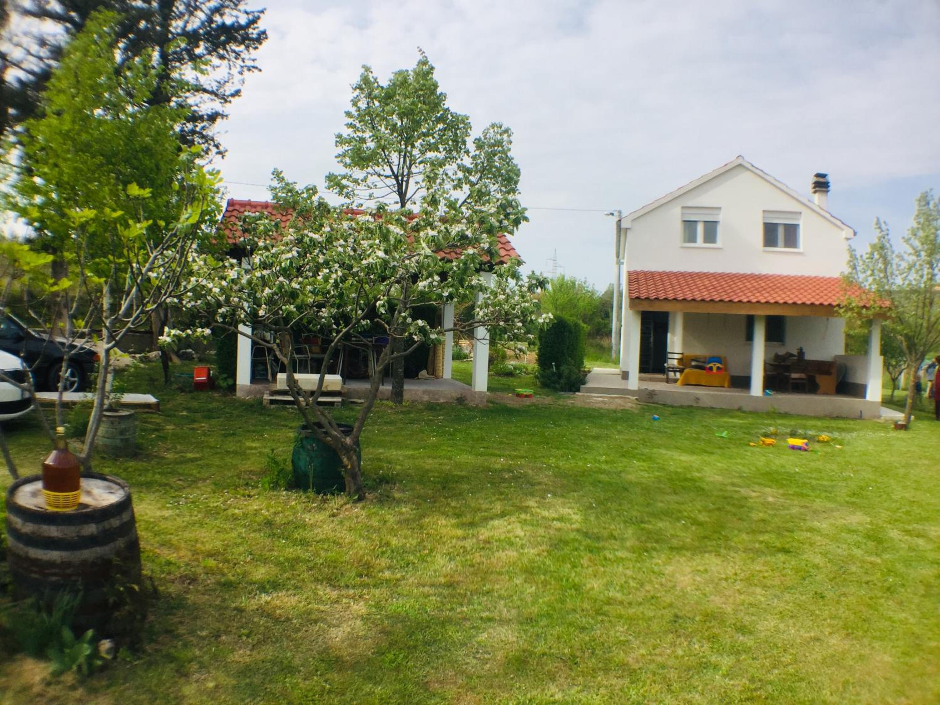 Photo 24