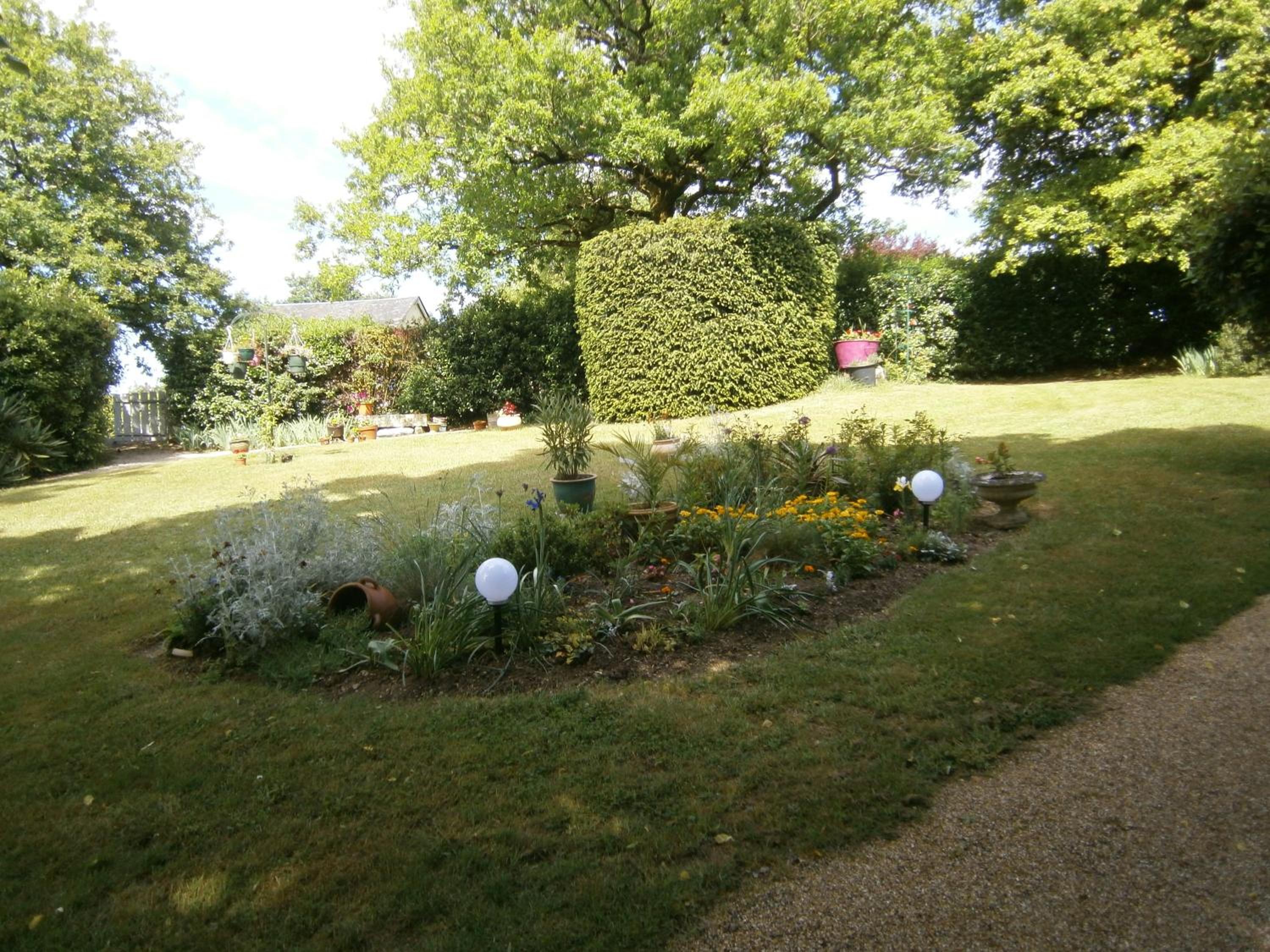 Photo 15