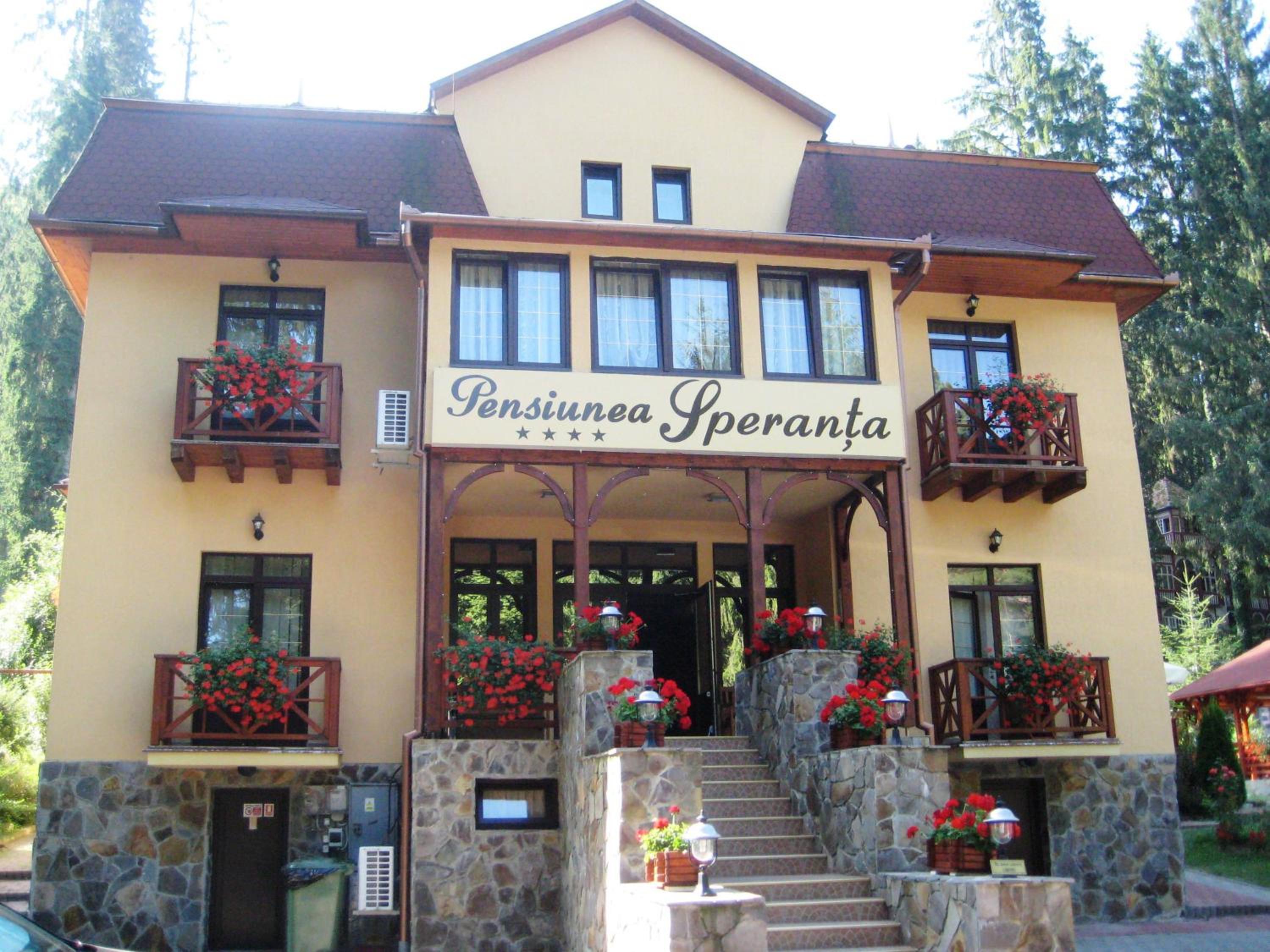 Hotel Pensiunea Speranta - Image 1