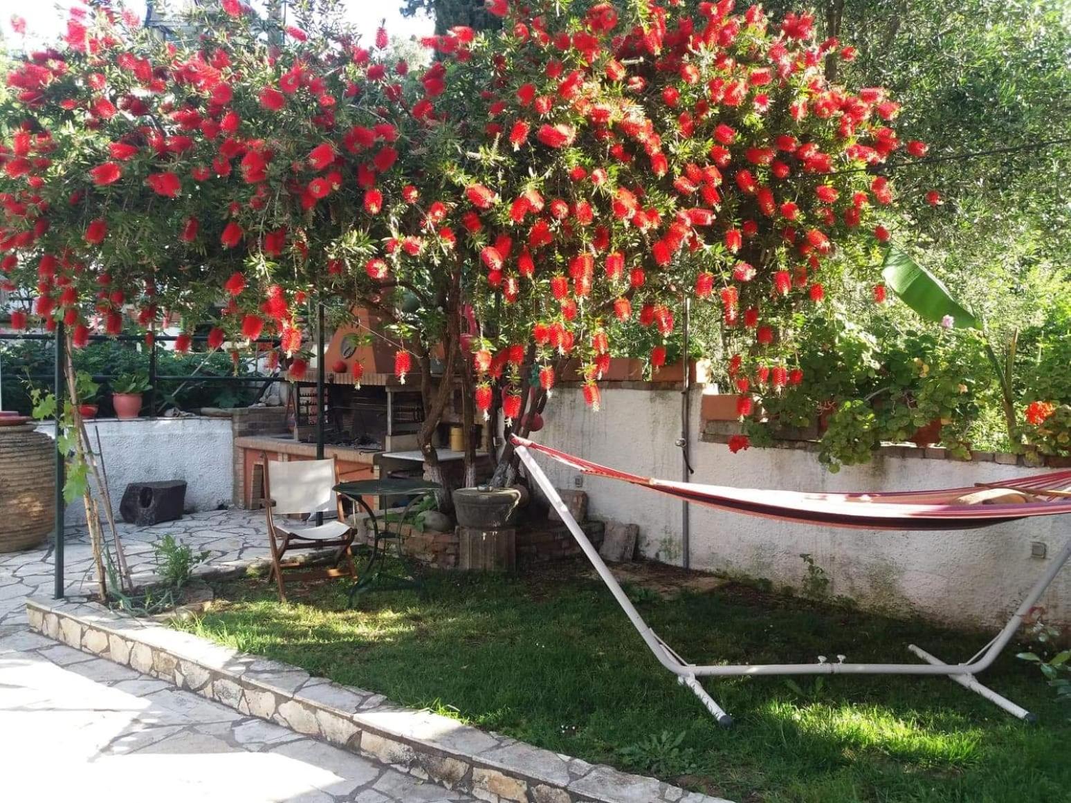 Nefeli's Country House