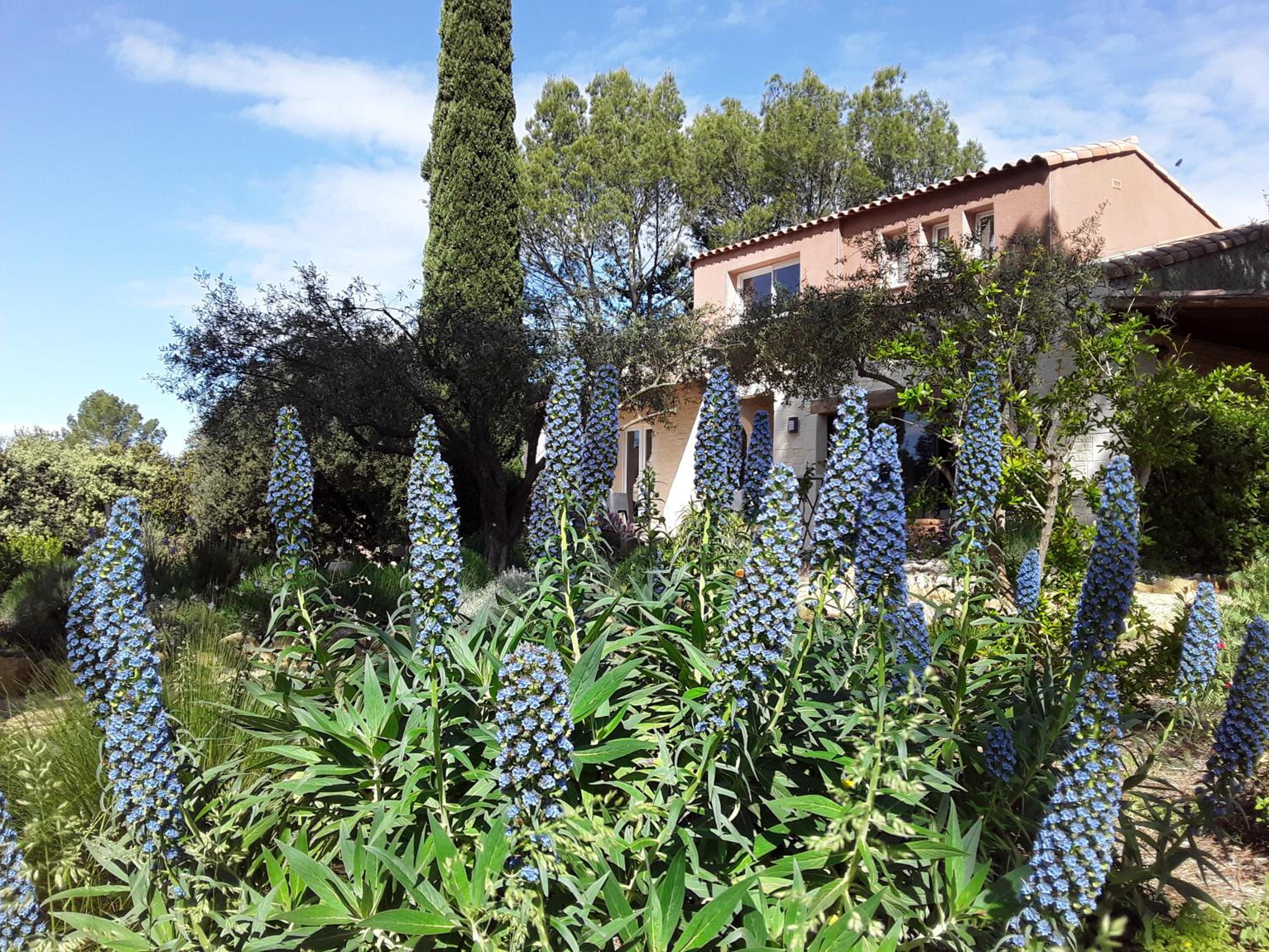 L'atelier