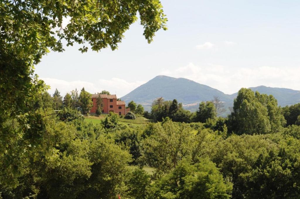 La Carpinella