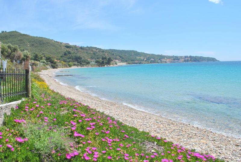 Sea Esta Holiday Home view 5